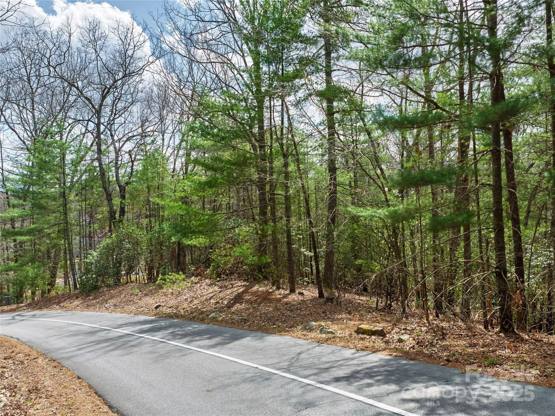 Lot 71 South Ridge Drive - Photo 3
