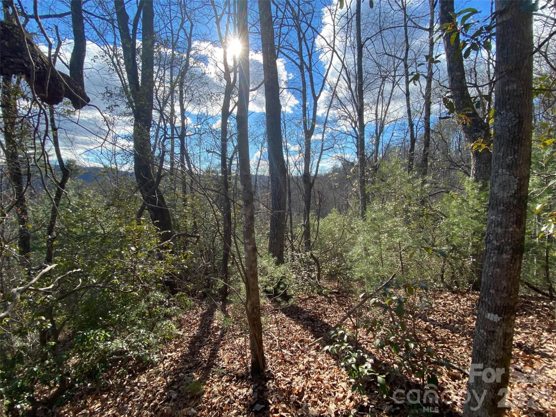 999 High Point Trail #32 - Photo 2