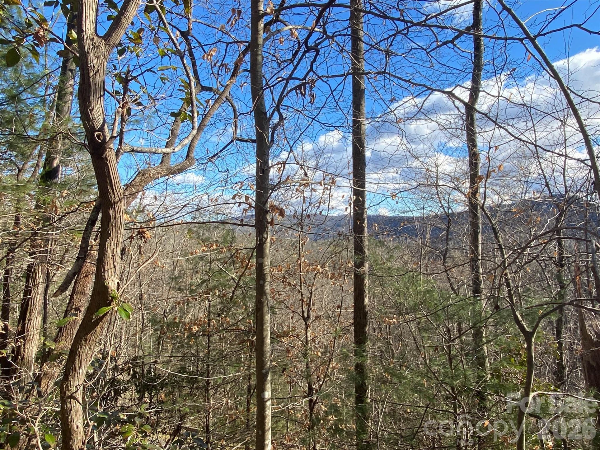 999 High Point Trail #32 - Photo 11