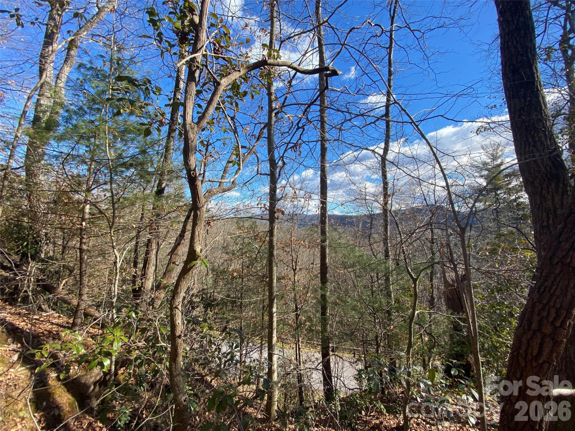 999 High Point Trail #32 - Photo 12