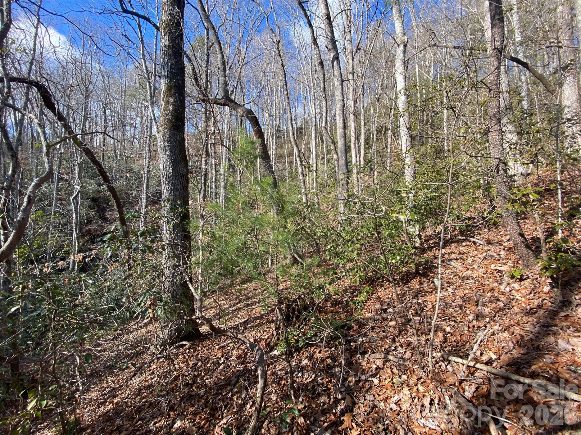 999 High Point Trail #32 - Photo 13