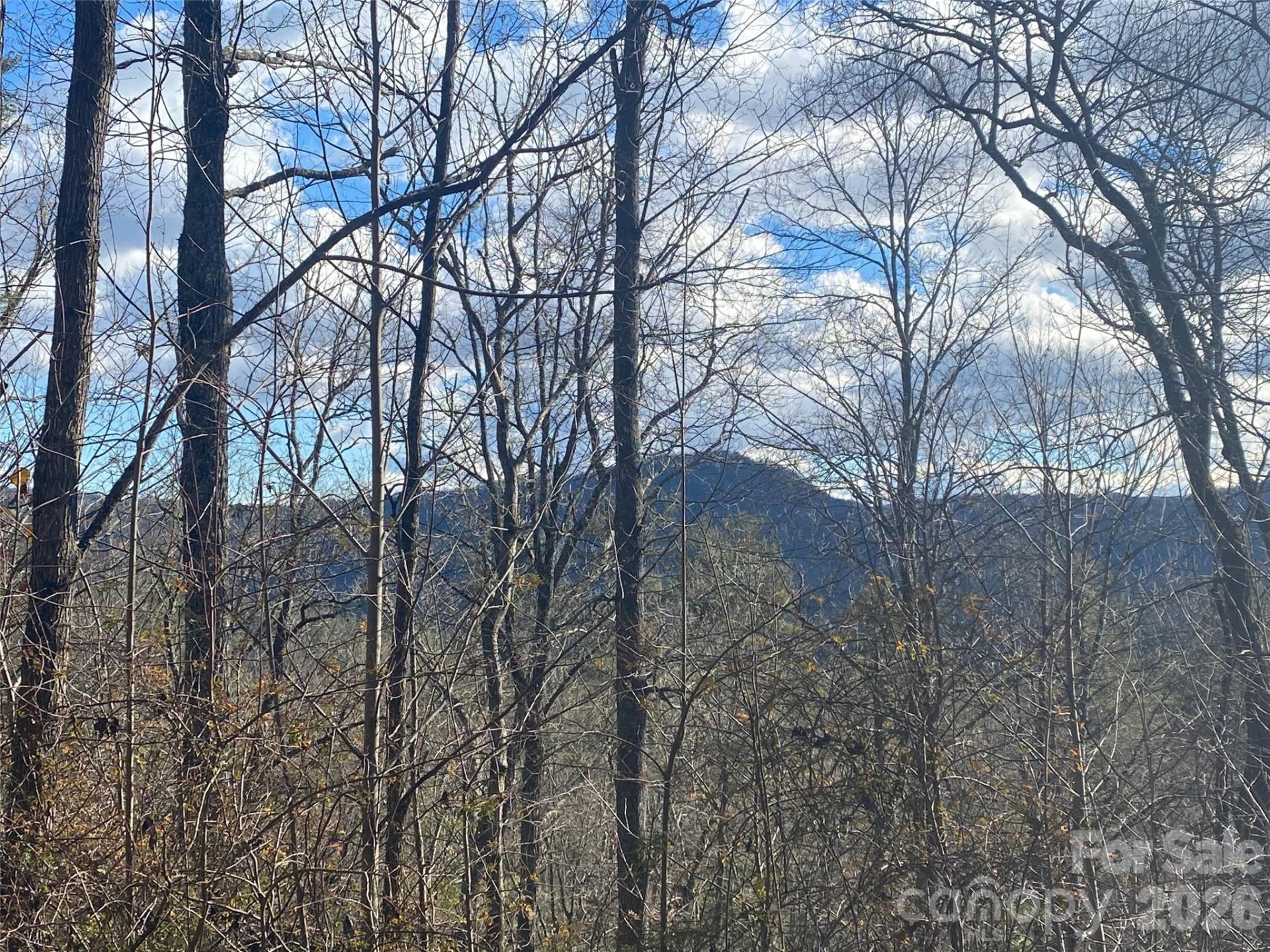 999 High Point Trail #32 - Photo 16