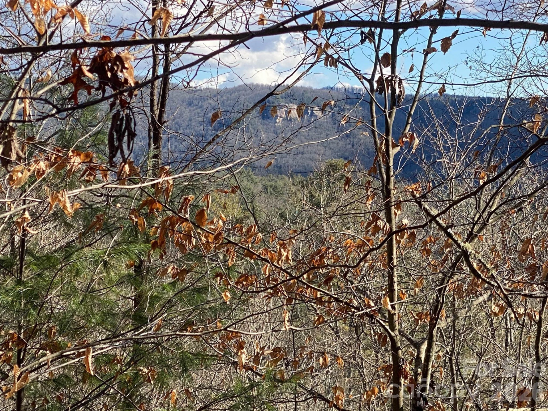 999 High Point Trail #32 - Photo 5