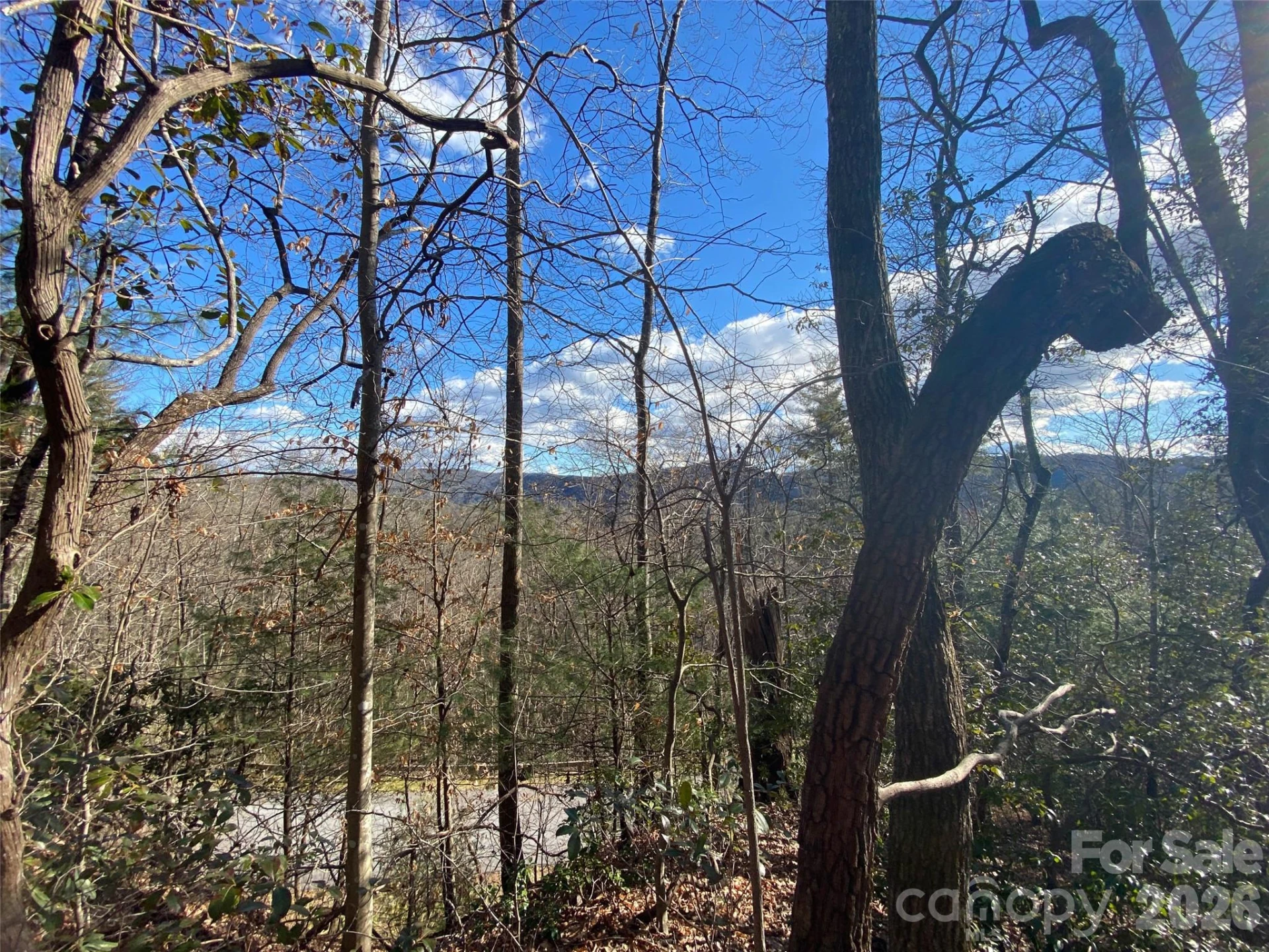 999 High Point Trail #32 - Photo 6