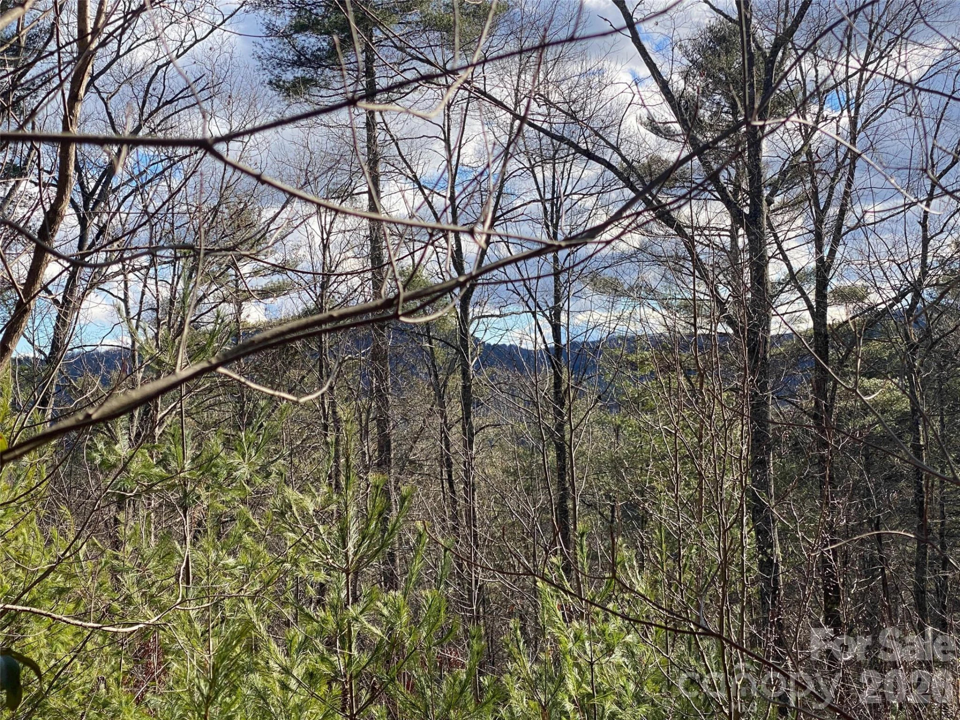 999 High Point Trail #32 - Photo 7