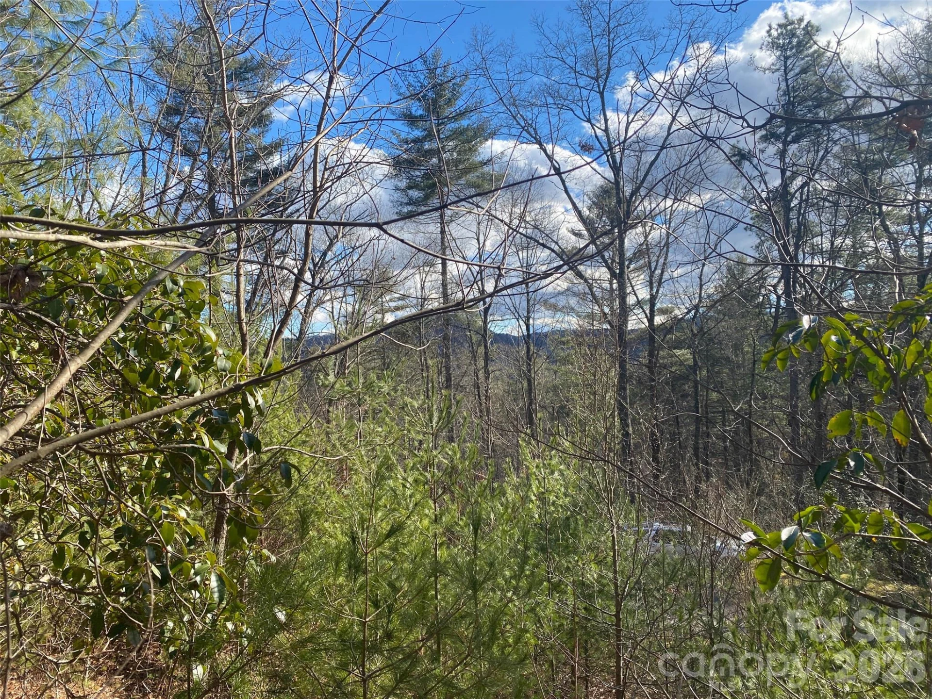 999 High Point Trail #32 - Photo 8