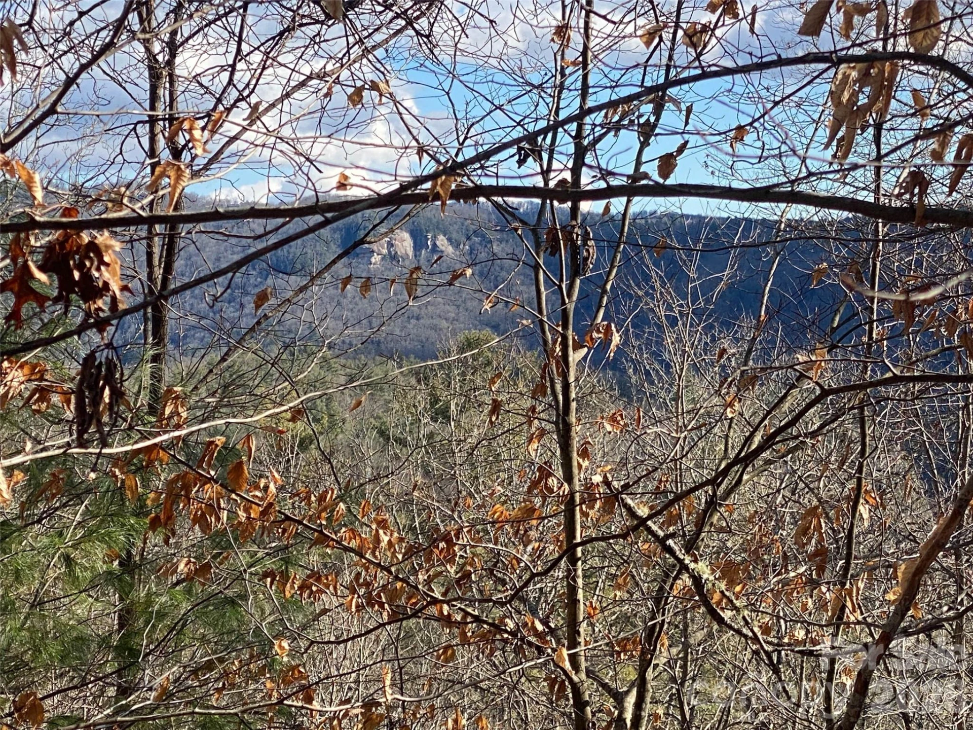 999 High Point Trail #32 - Photo 9