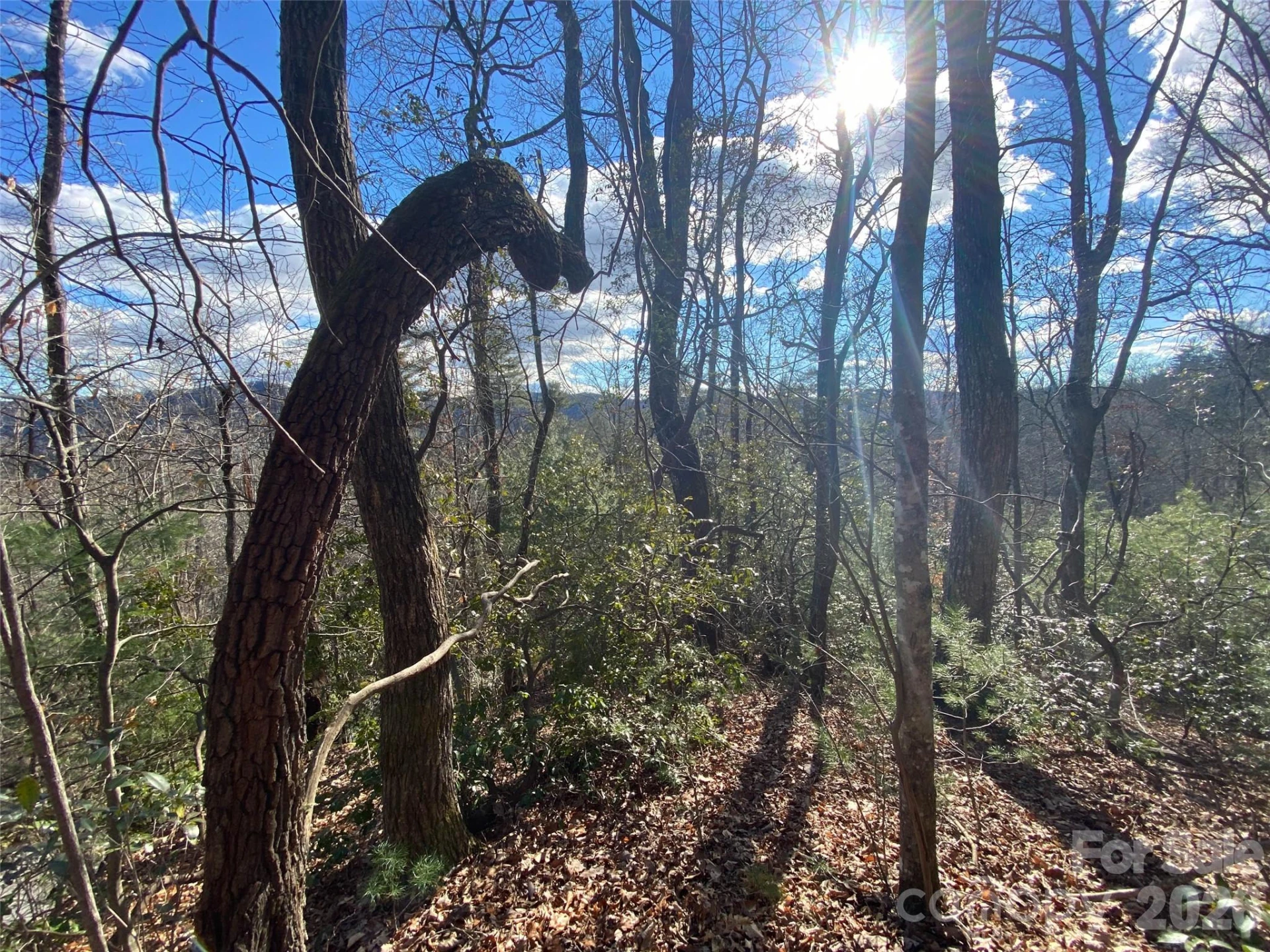 999 High Point Trail #32 - Photo 10
