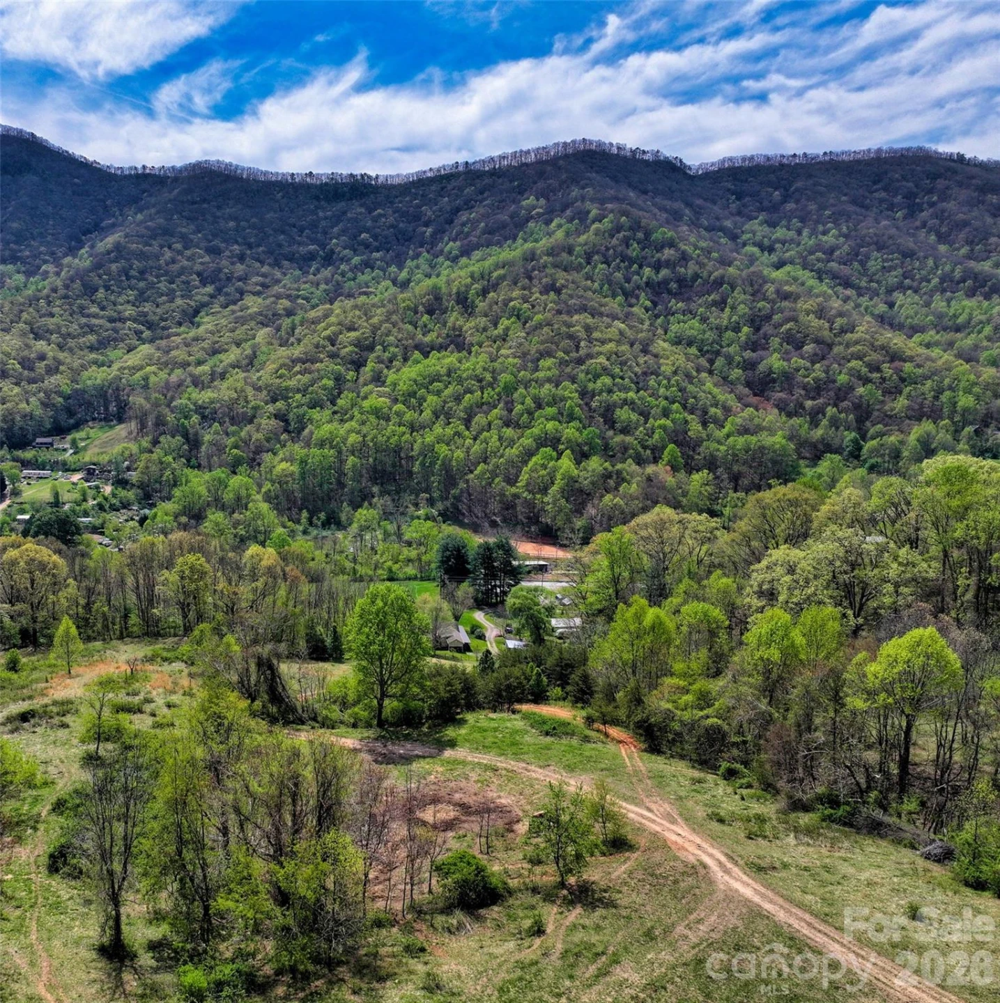 1567 Newfound Road - Photo 3