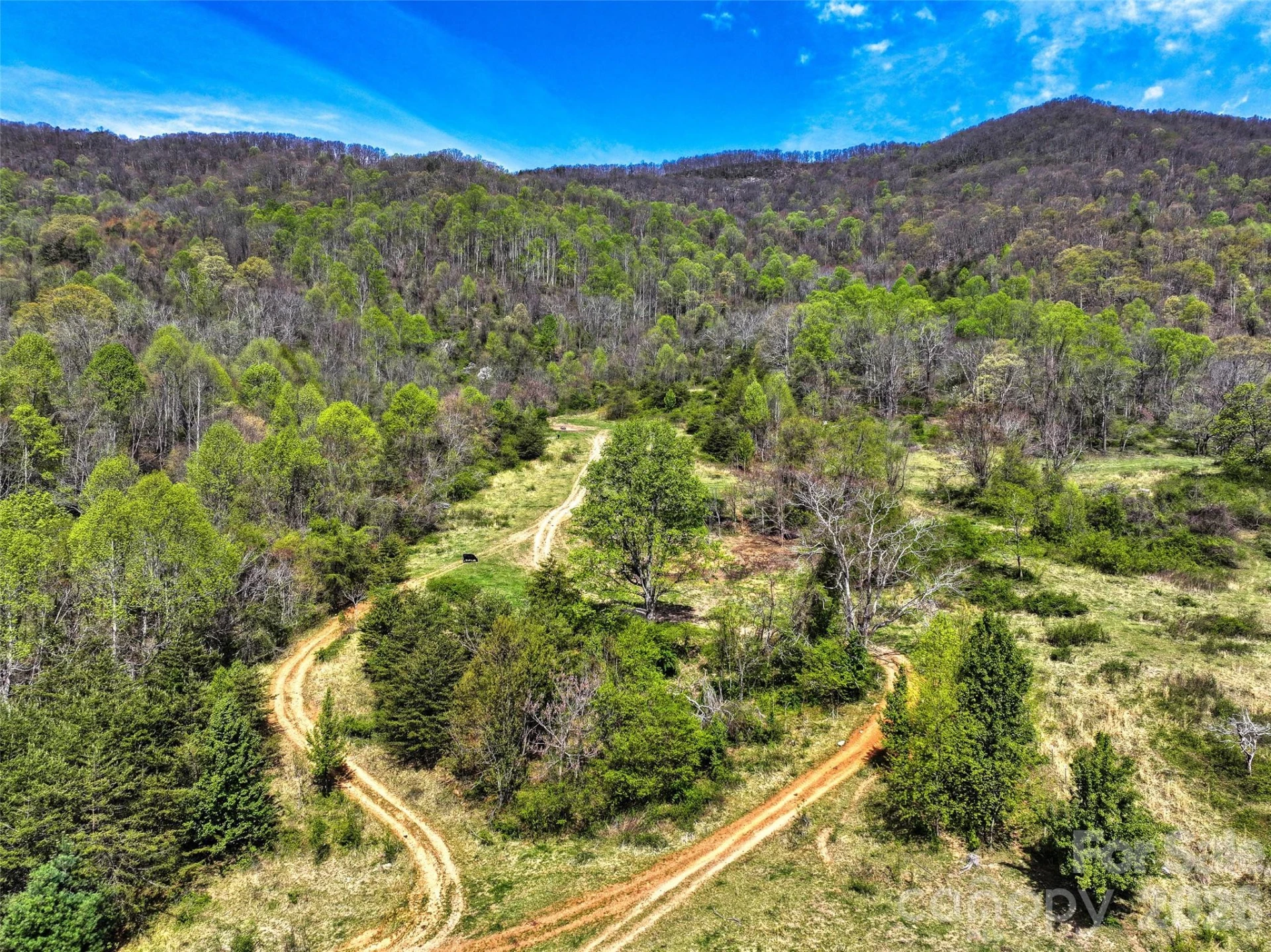 1567 Newfound Road - Photo 27