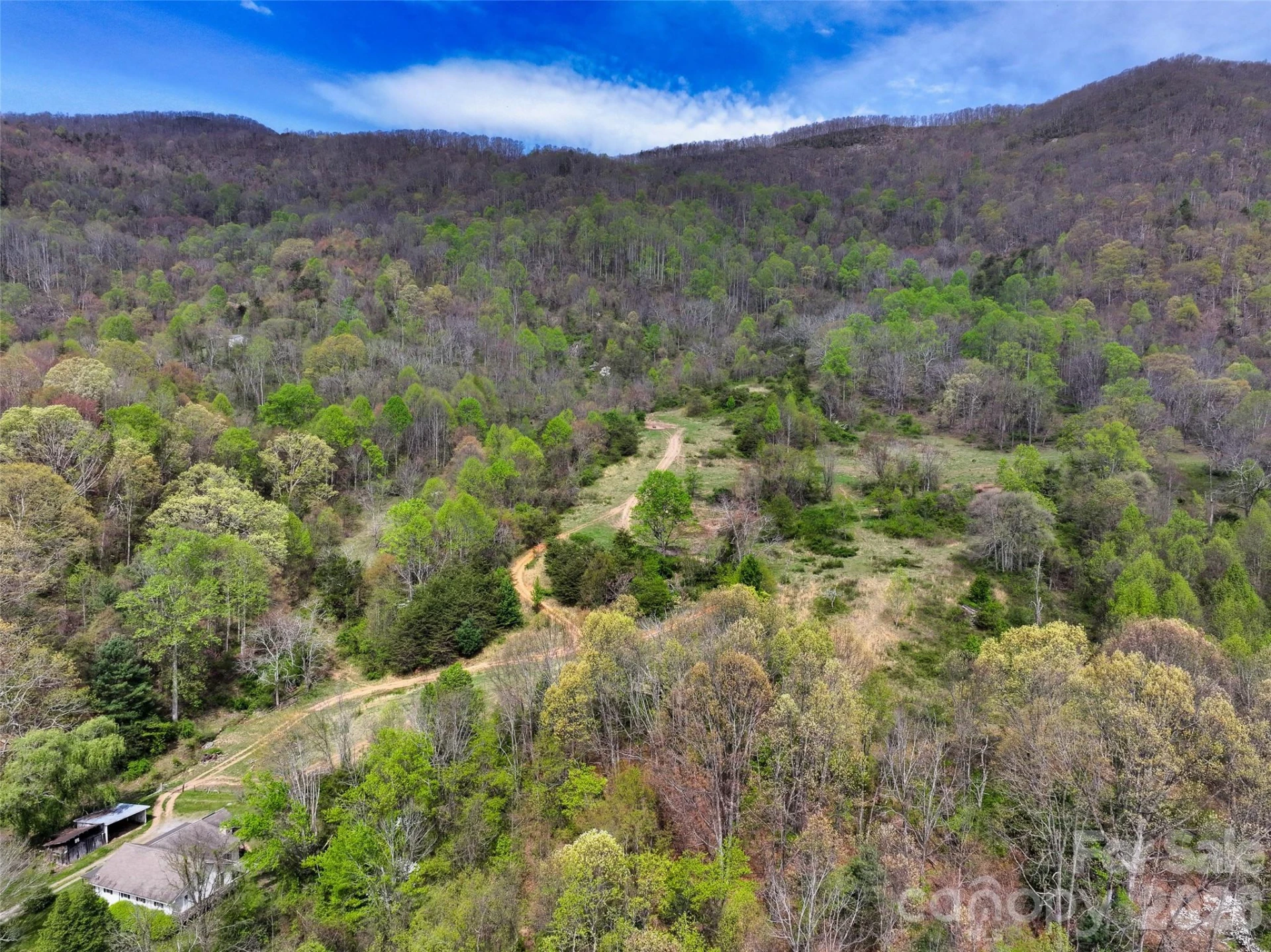 1567 Newfound Road - Photo 5