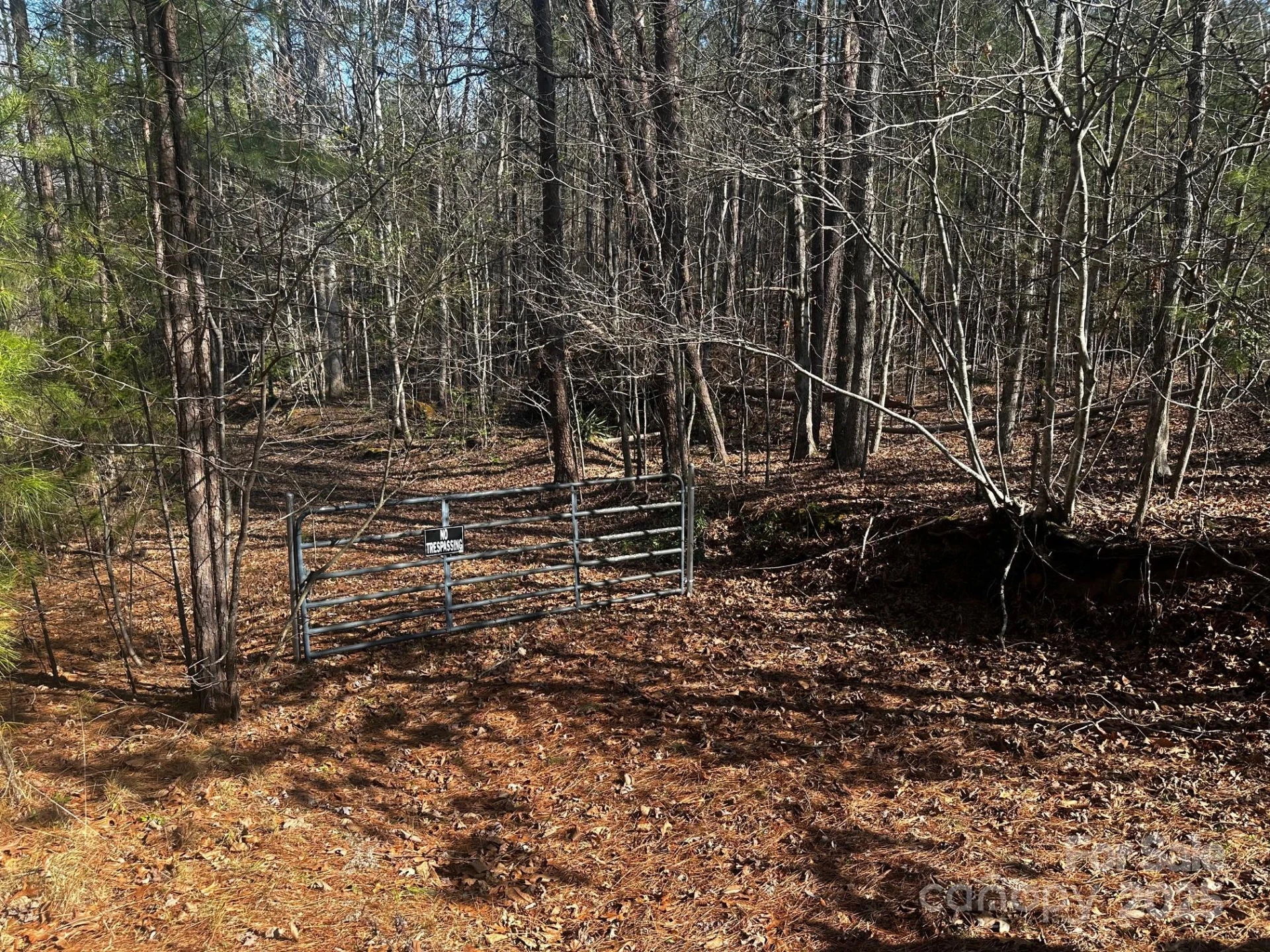 0000 Grassy Knob Road - Photo 2
