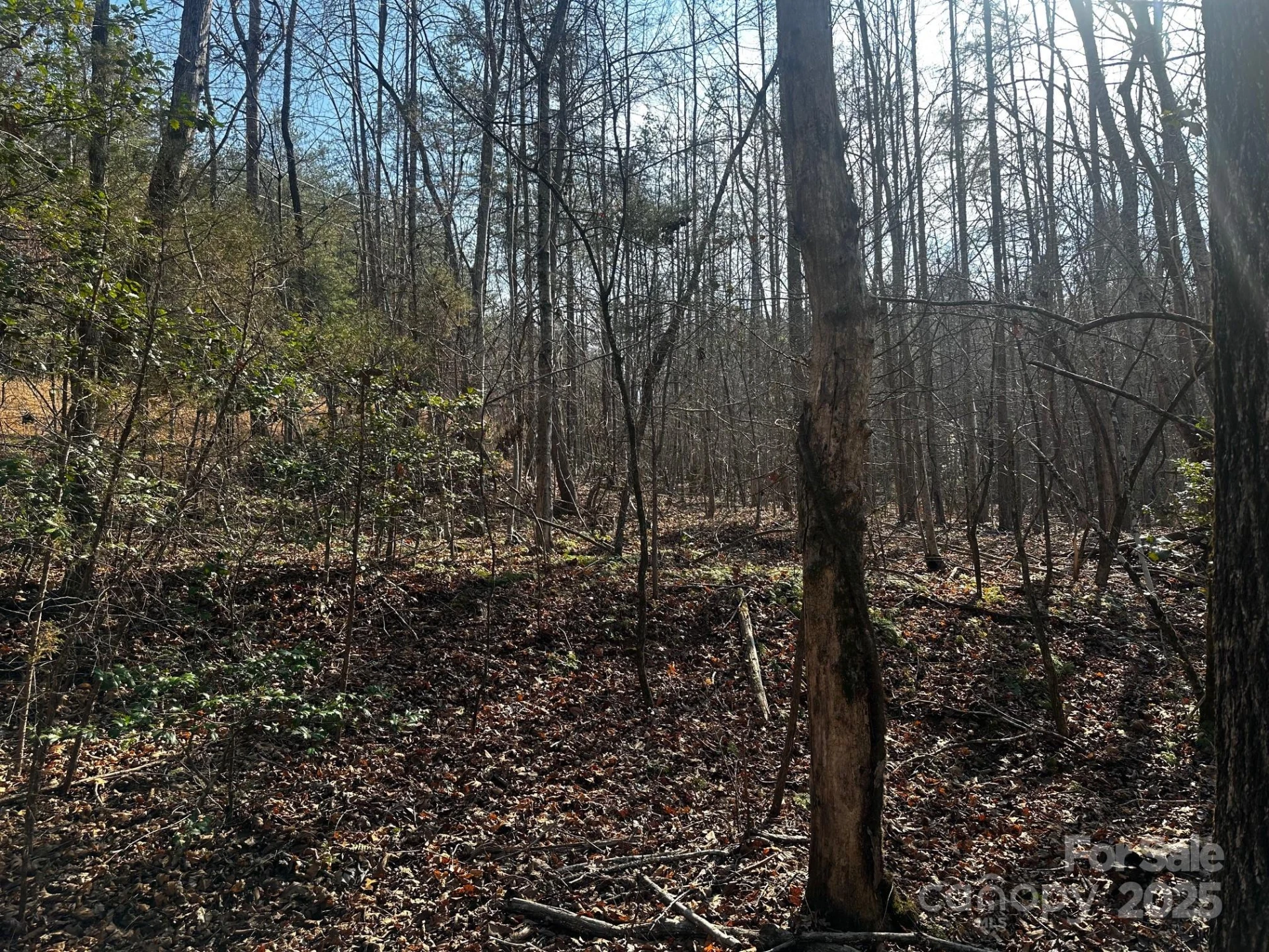 0000 Grassy Knob Road - Photo 11