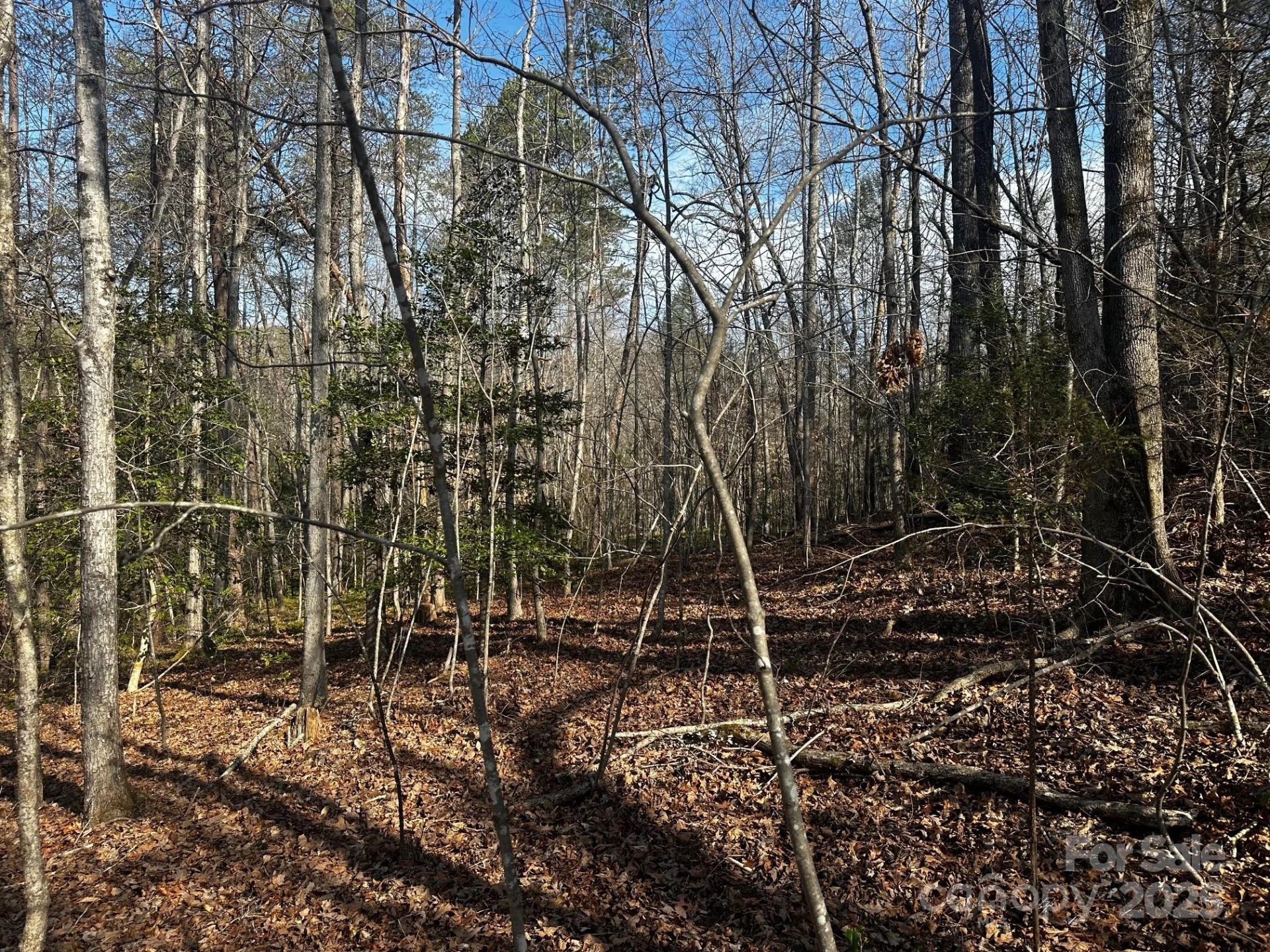 0000 Grassy Knob Road - Photo 14