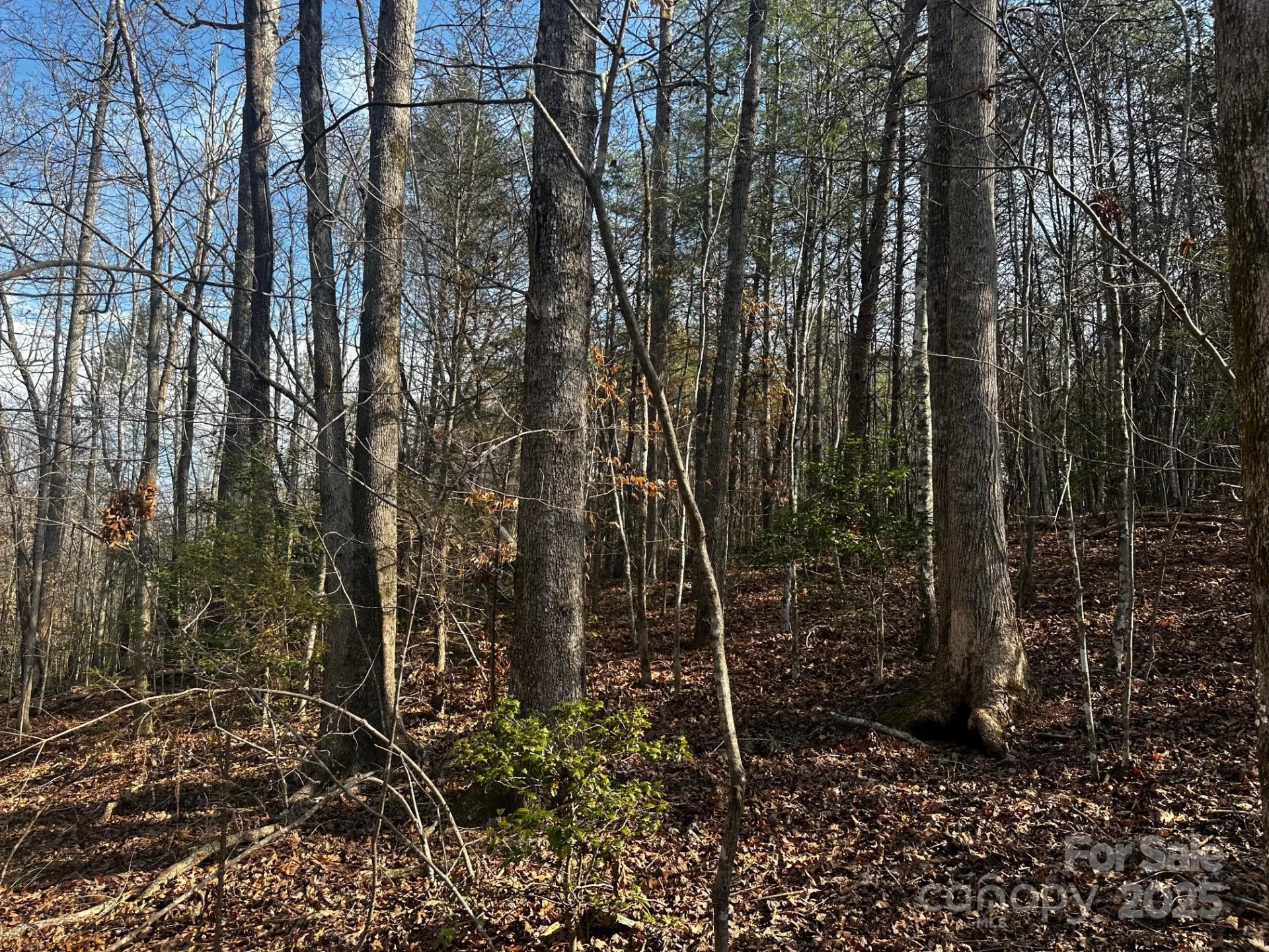 0000 Grassy Knob Road - Photo 15
