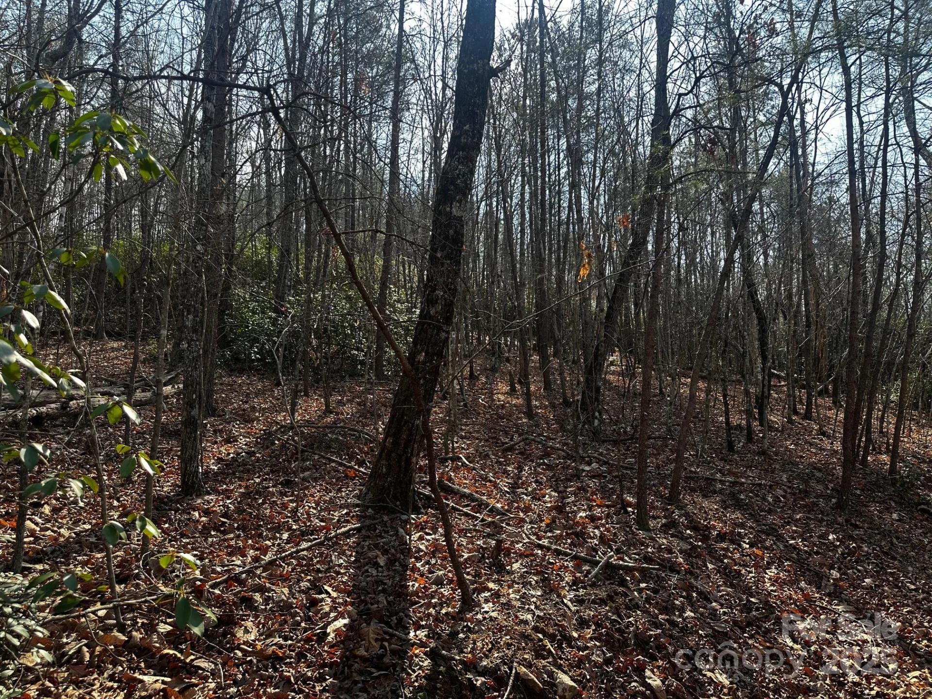 0000 Grassy Knob Road - Photo 17