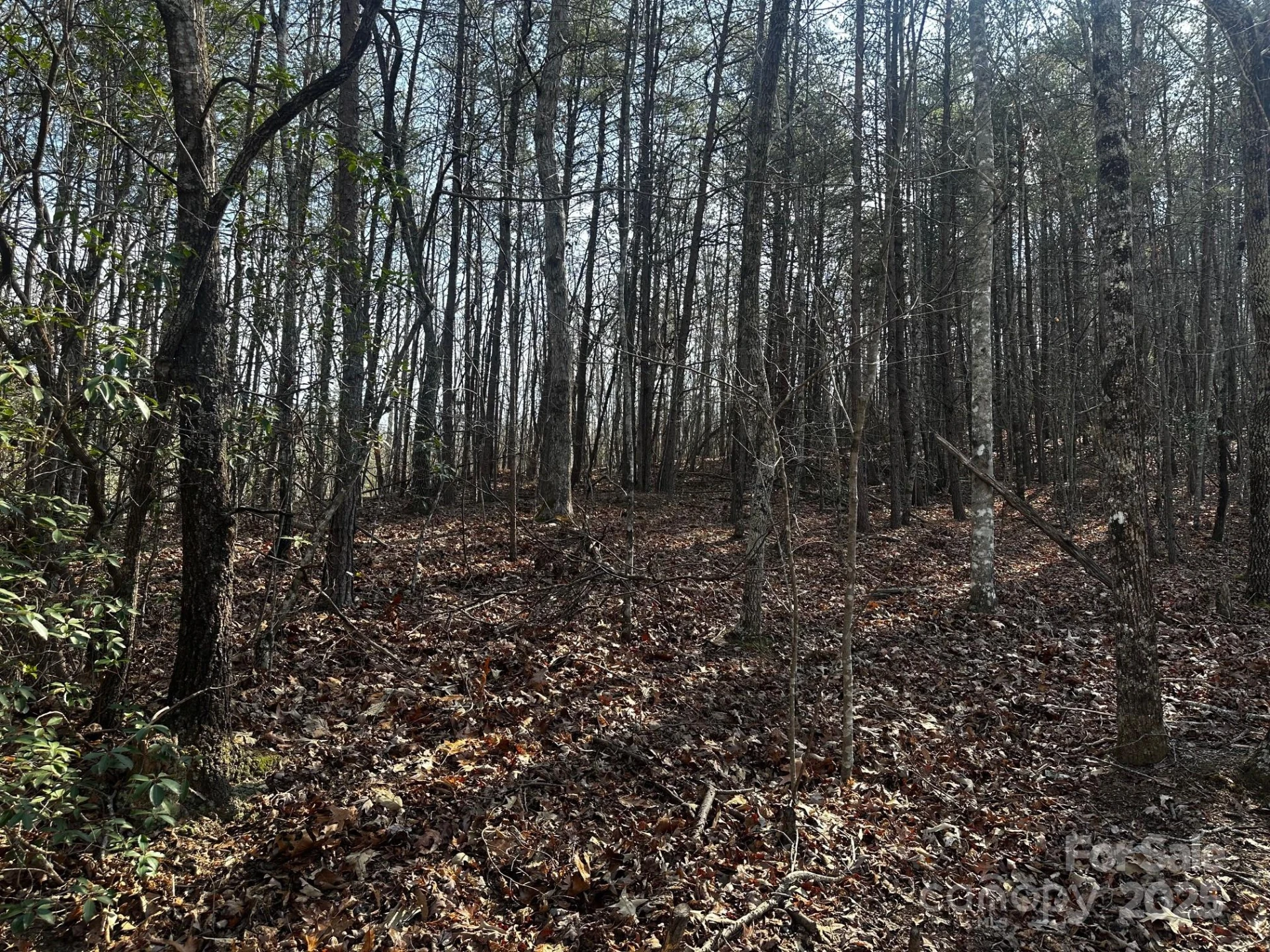 0000 Grassy Knob Road - Photo 3