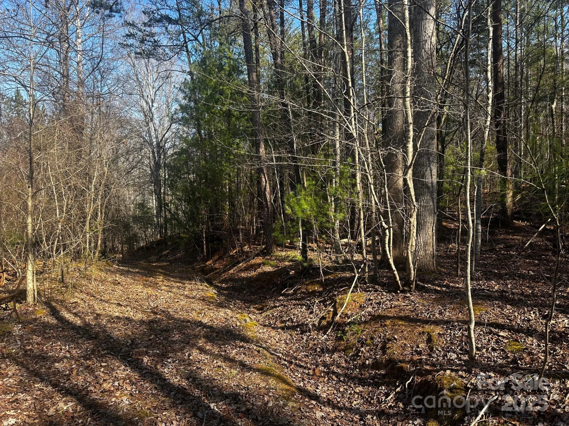 0000 Grassy Knob Road - Photo 4