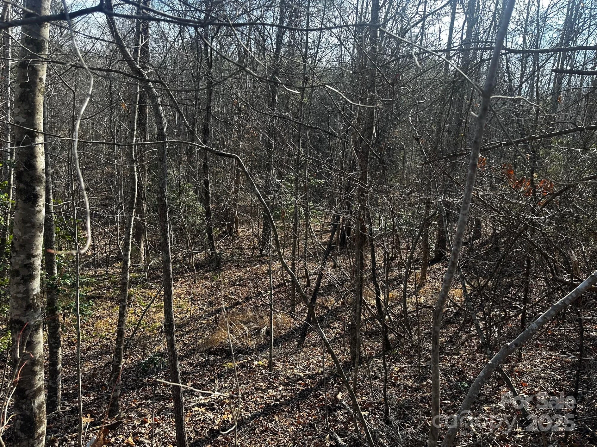 0000 Grassy Knob Road - Photo 7