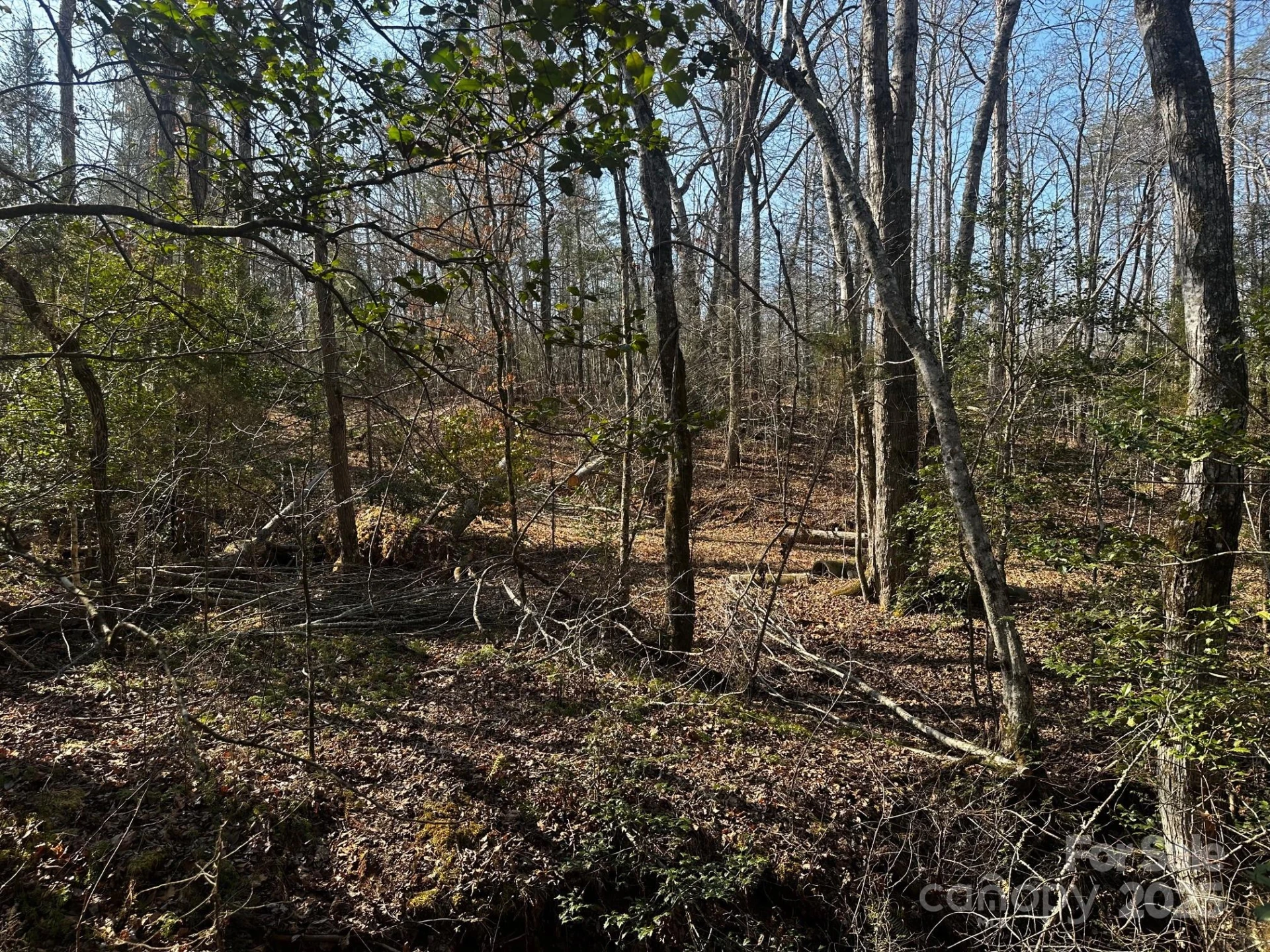 0000 Grassy Knob Road - Photo 9