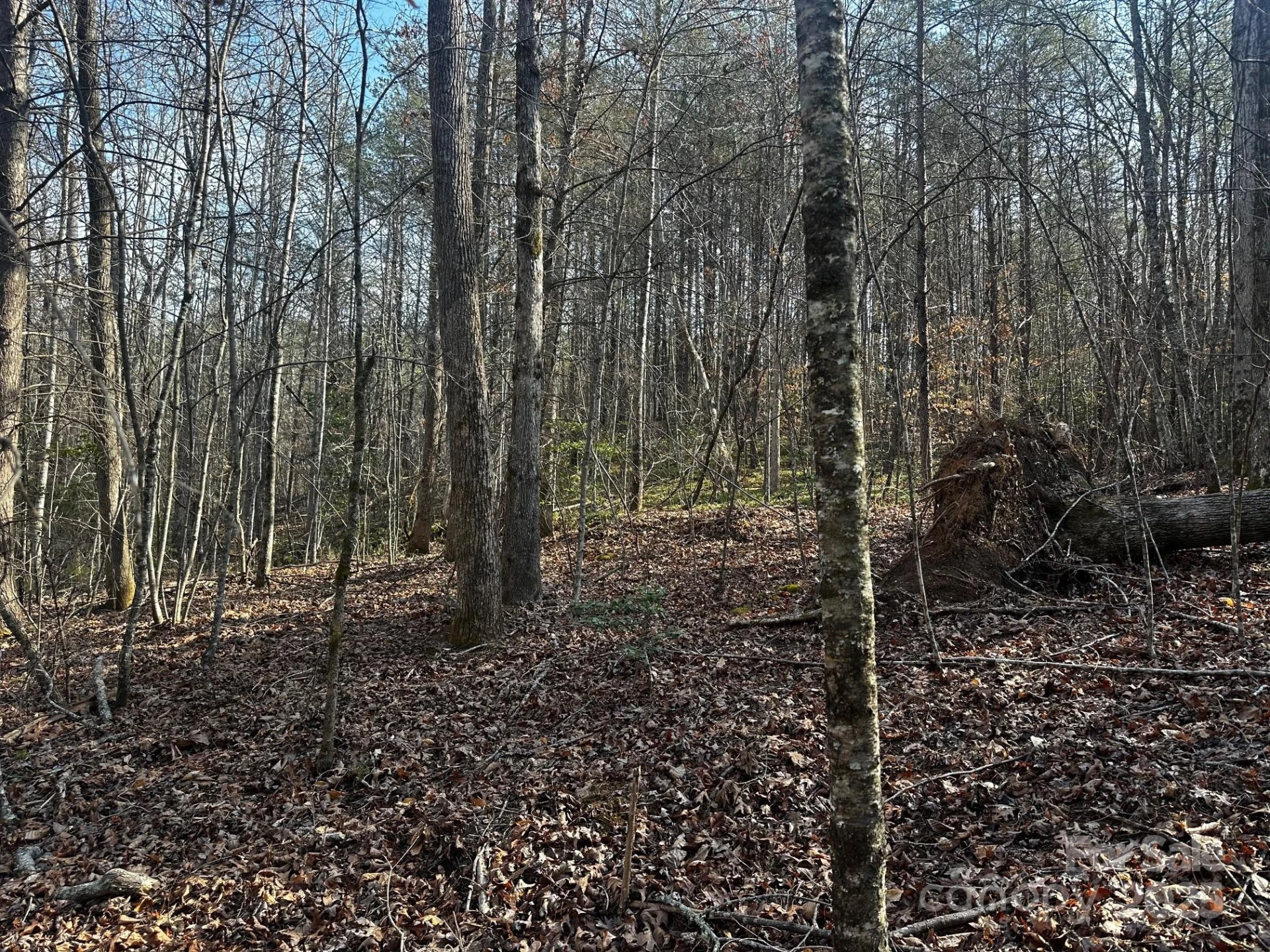 0000 Grassy Knob Road - Photo 10