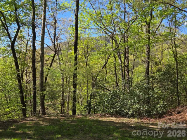 Lot 64 &  65 Walnut Lane