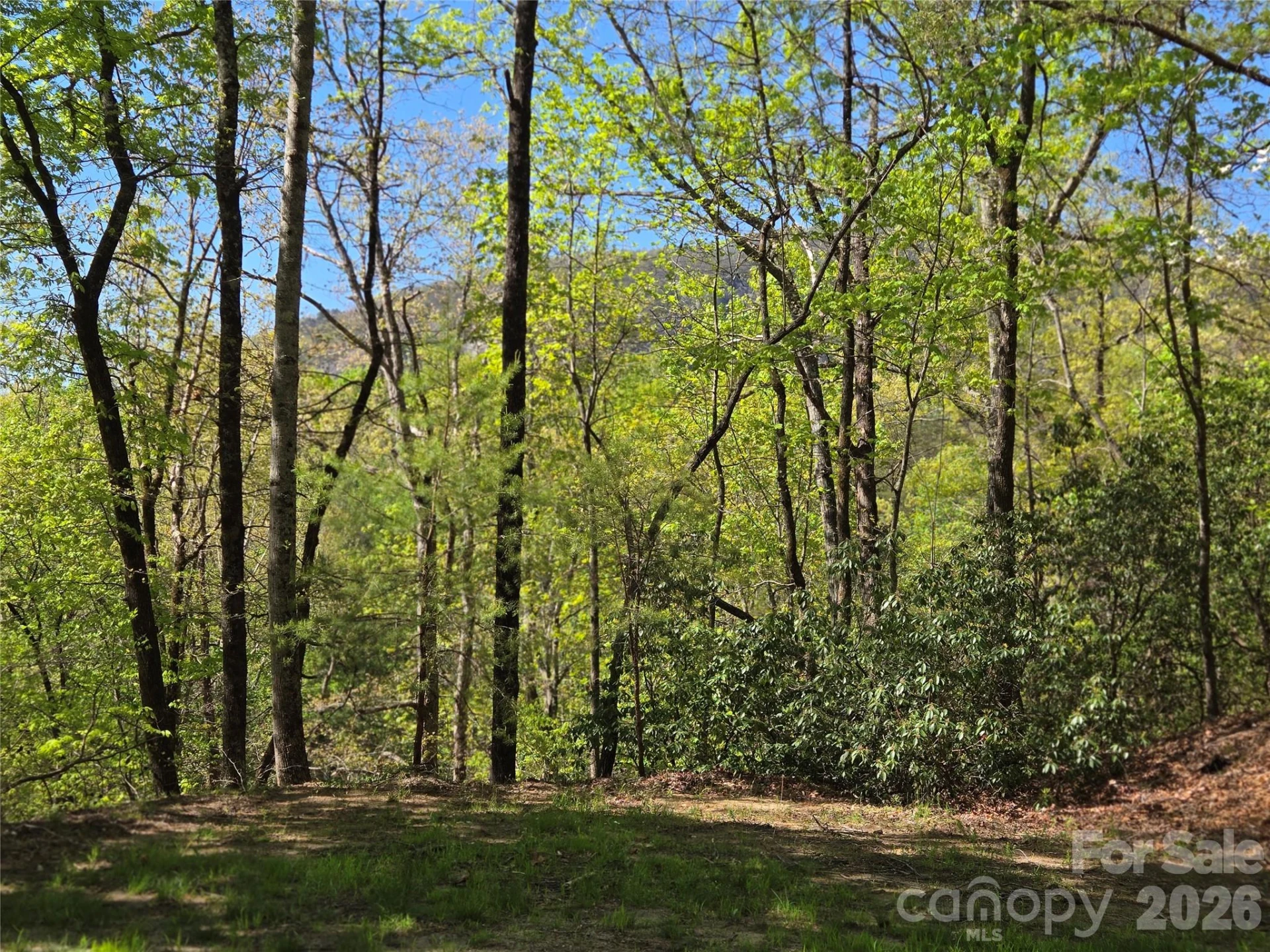 Lot 64 &  65 Walnut Lane