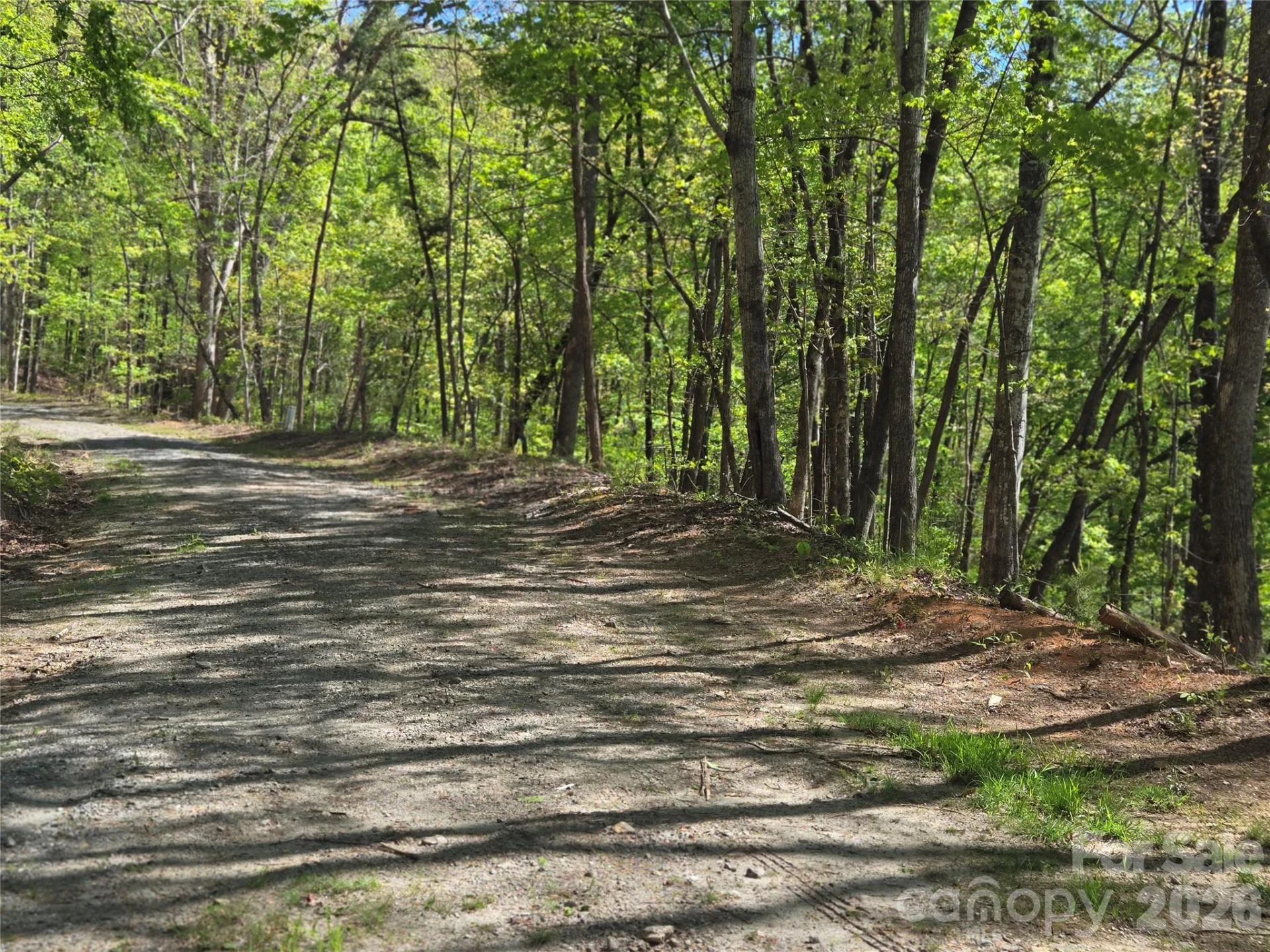 Lot 64 &  65 Walnut Lane - Photo 5