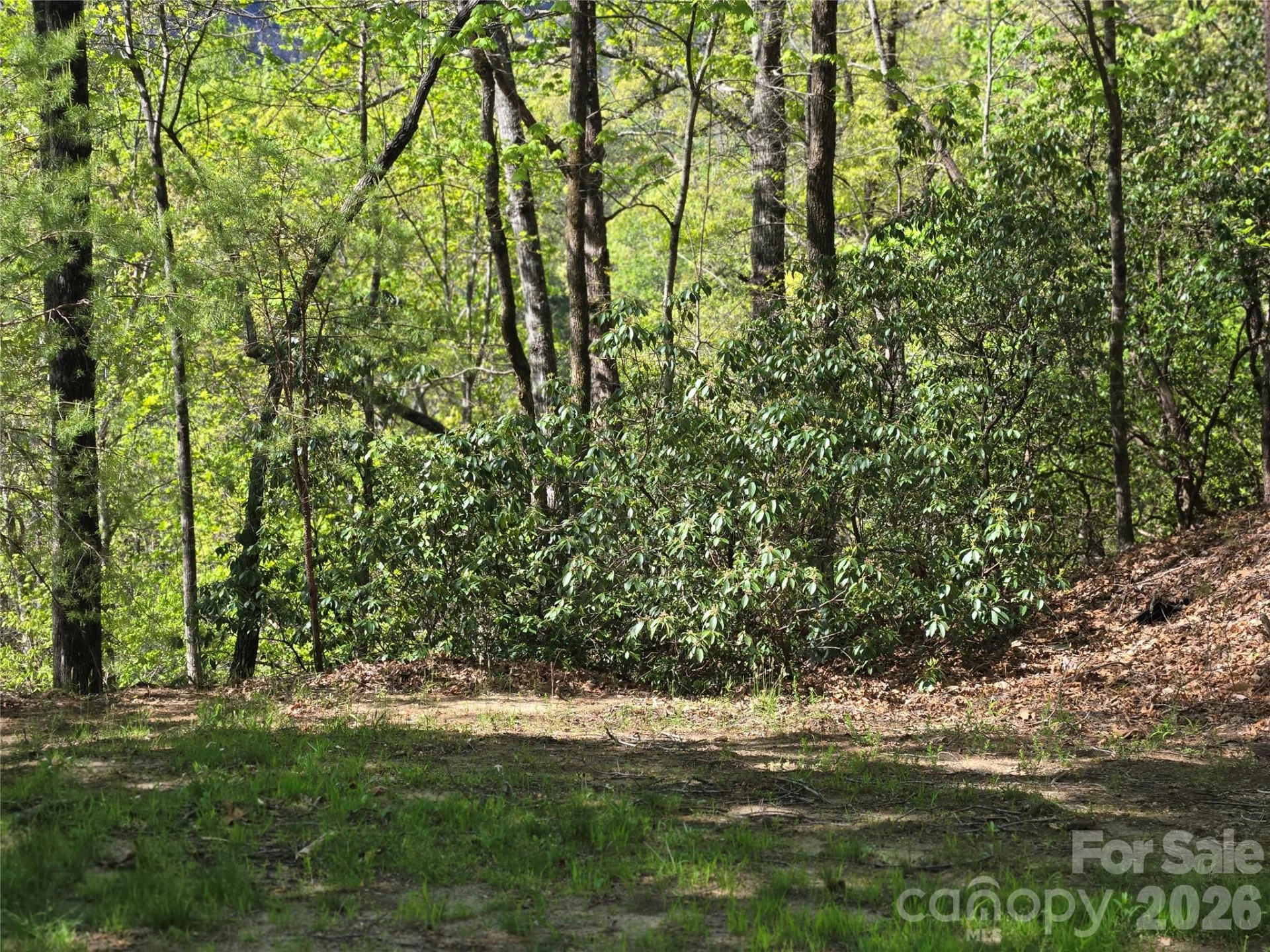 Lot 64 &  65 Walnut Lane - Photo 7