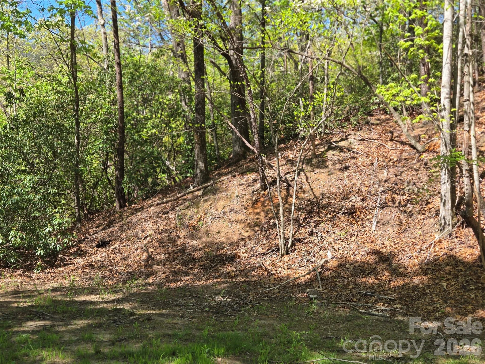Lot 64 &  65 Walnut Lane - Photo 9
