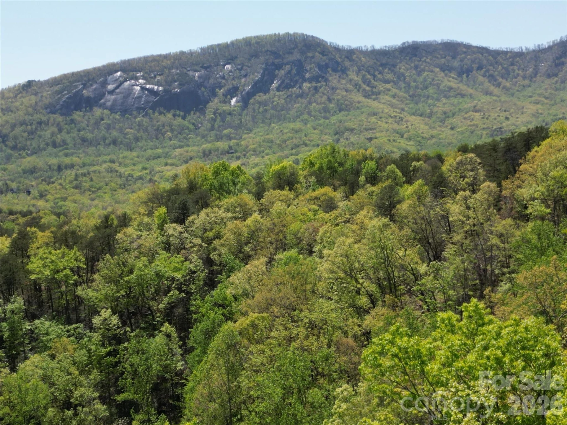 Lot 114 Summit Court - Photo 2