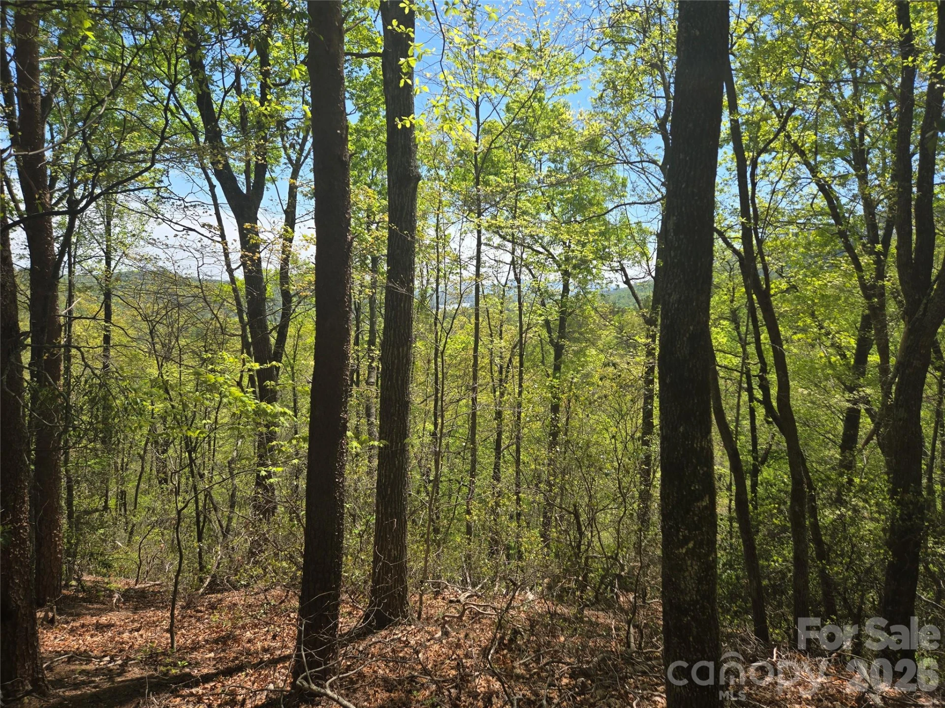 Lot 114 Summit Court - Photo 4