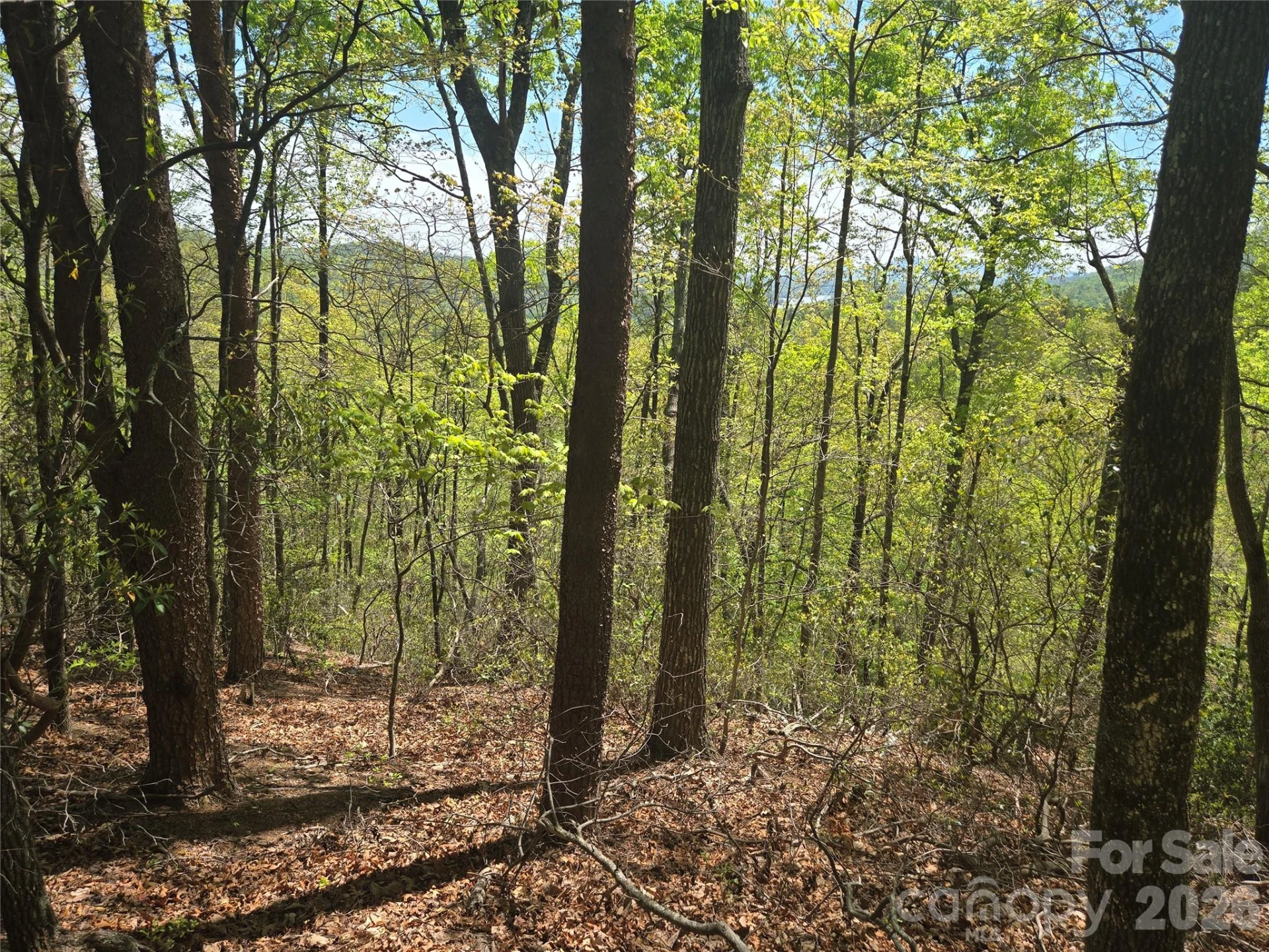 Lot 114 Summit Court - Photo 5