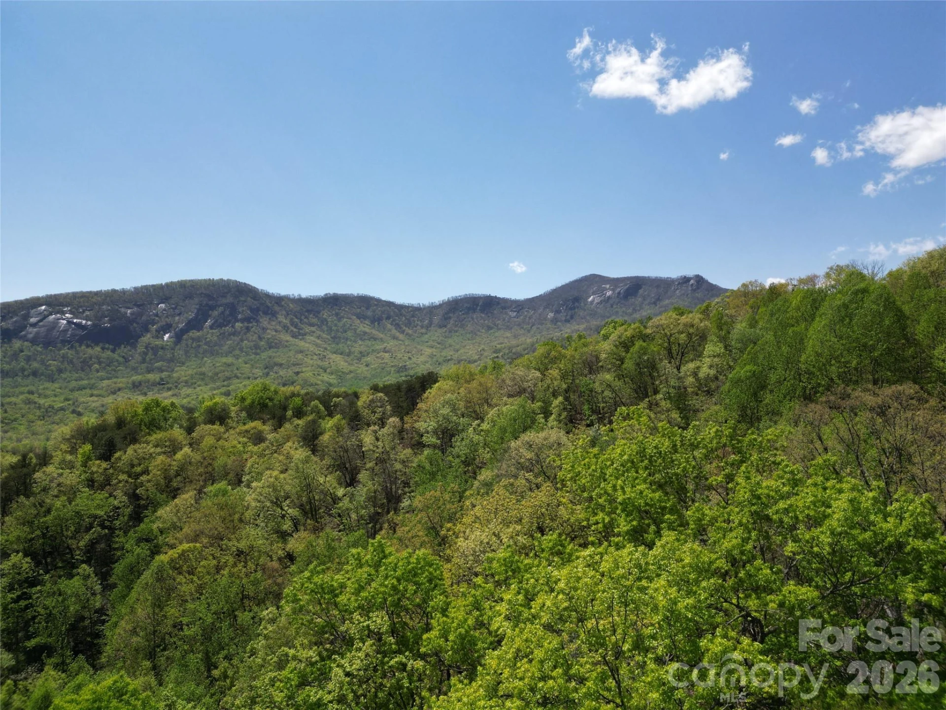 Lot 114 Summit Court - Photo 6
