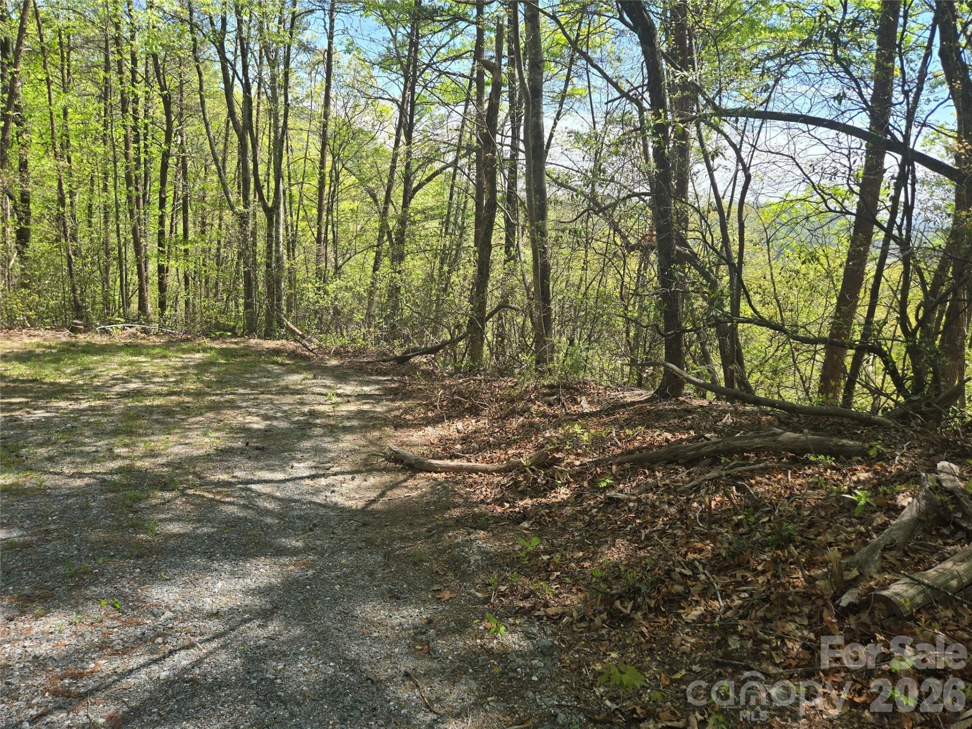 Lot 114 Summit Court - Photo 7
