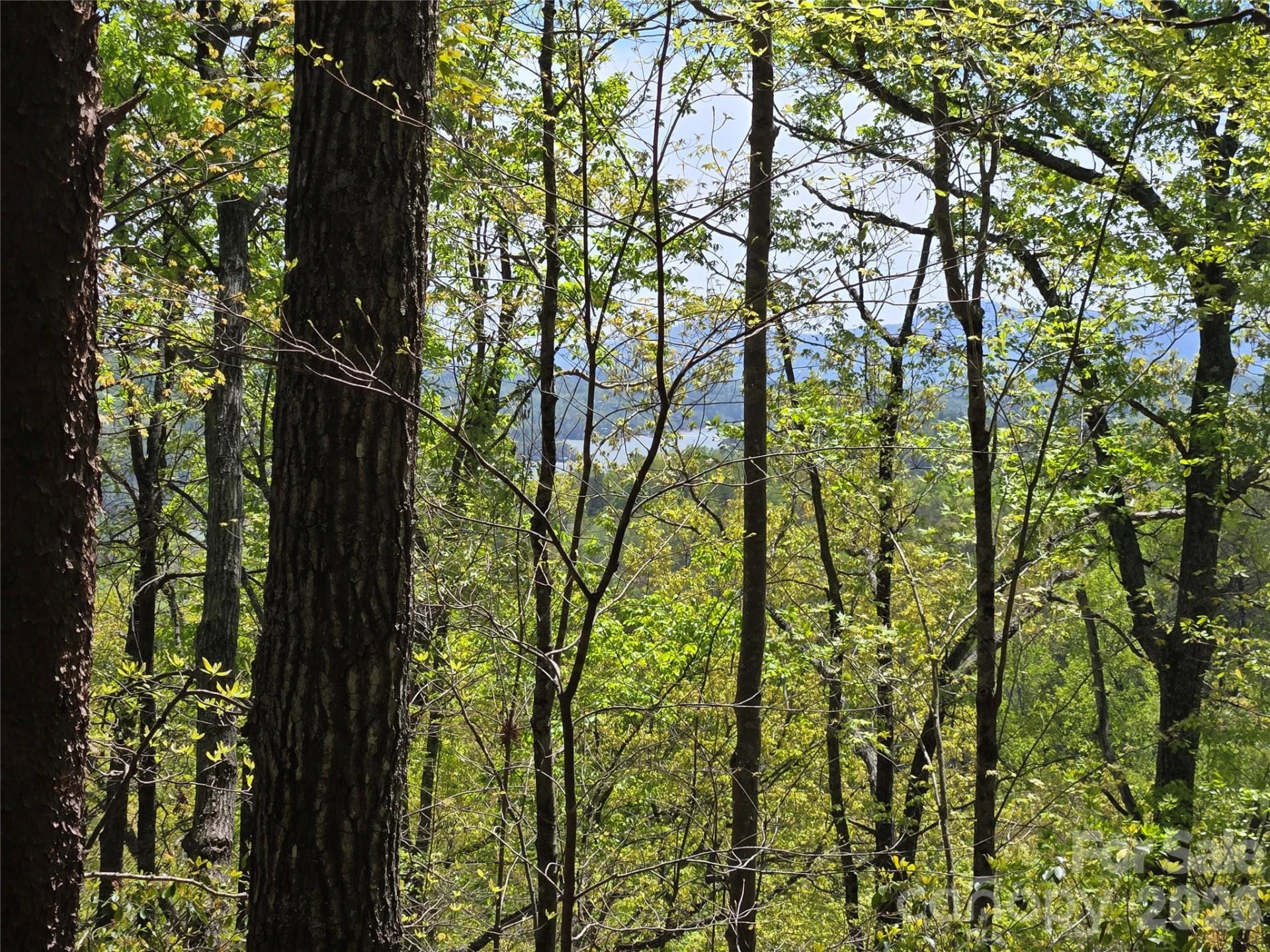 Lot 114 Summit Court - Photo 8