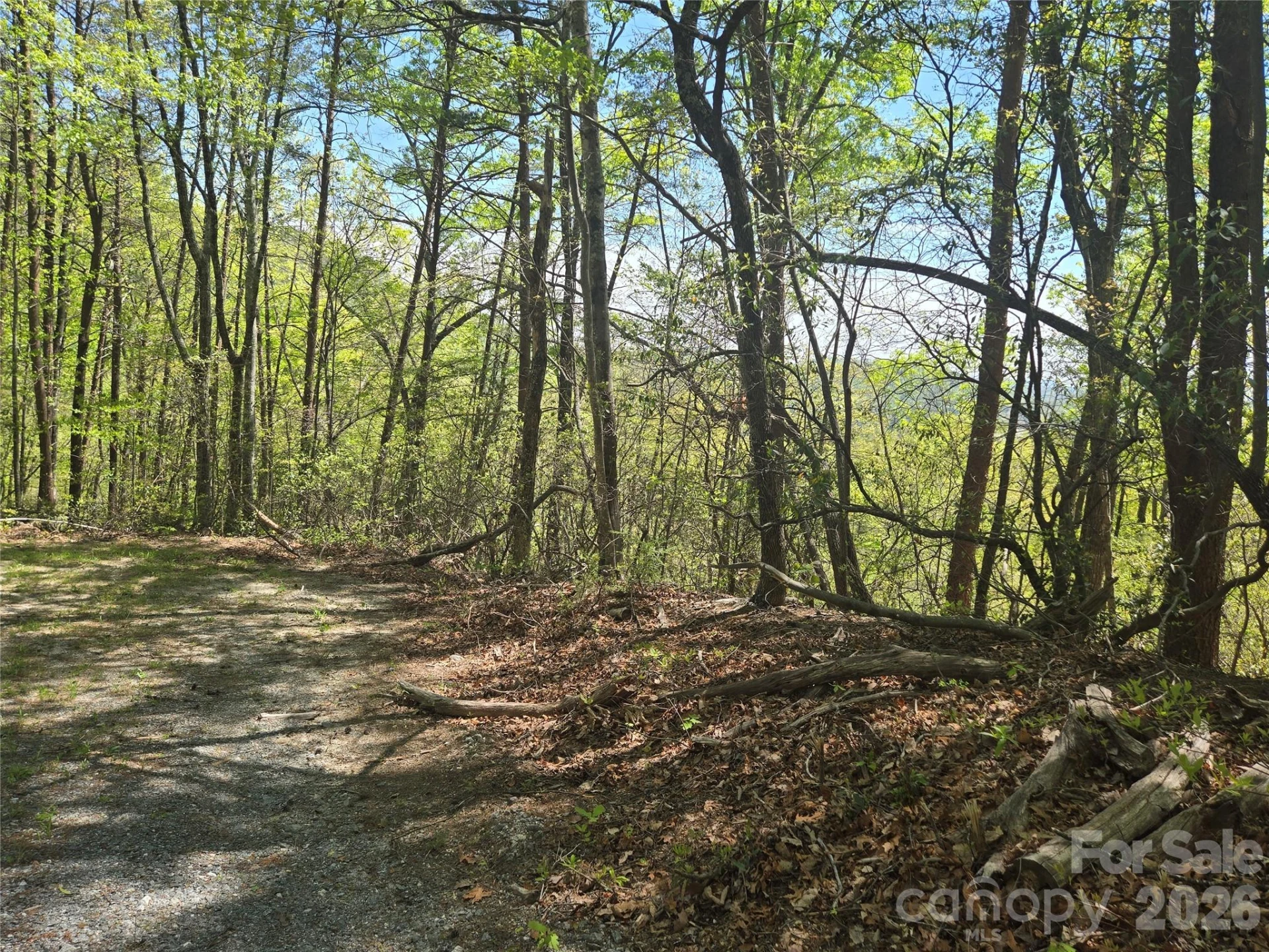 Lot 114 Summit Court - Photo 10