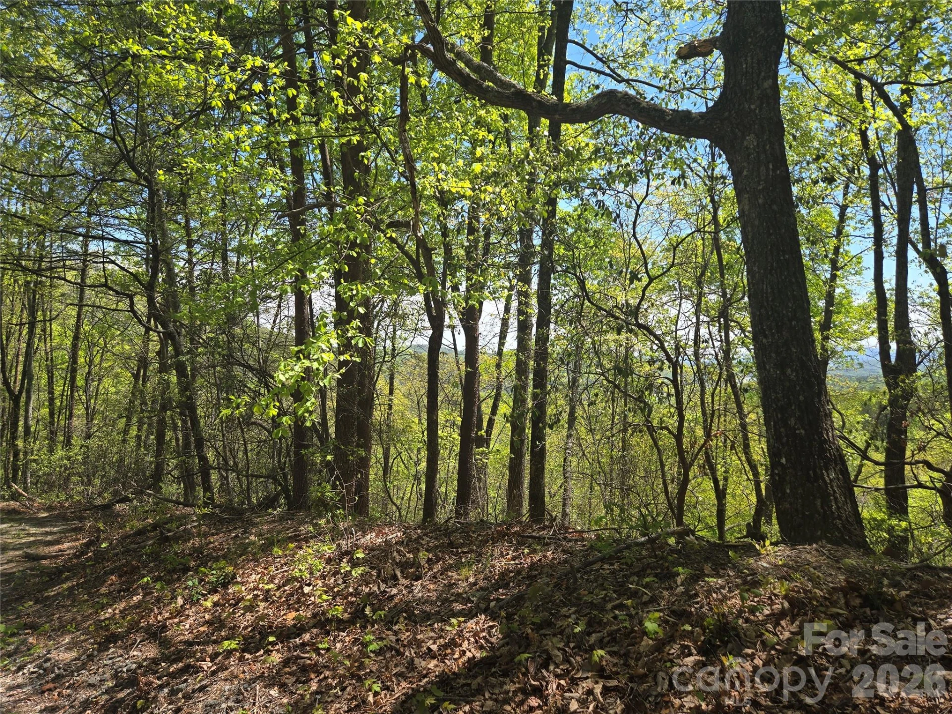 Lot 114 Summit Court - Photo 11