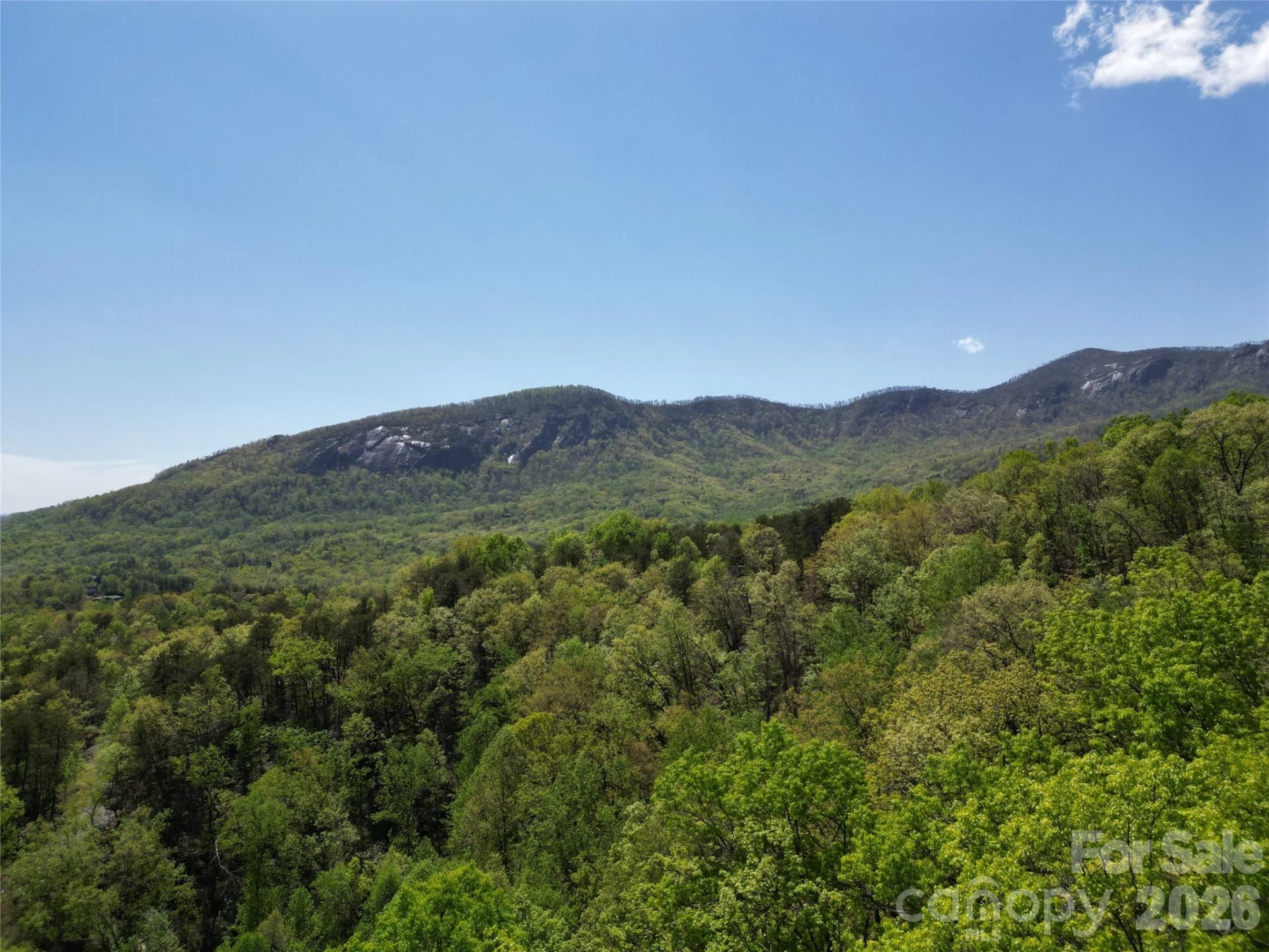Lot 114 Summit Court - Photo 12