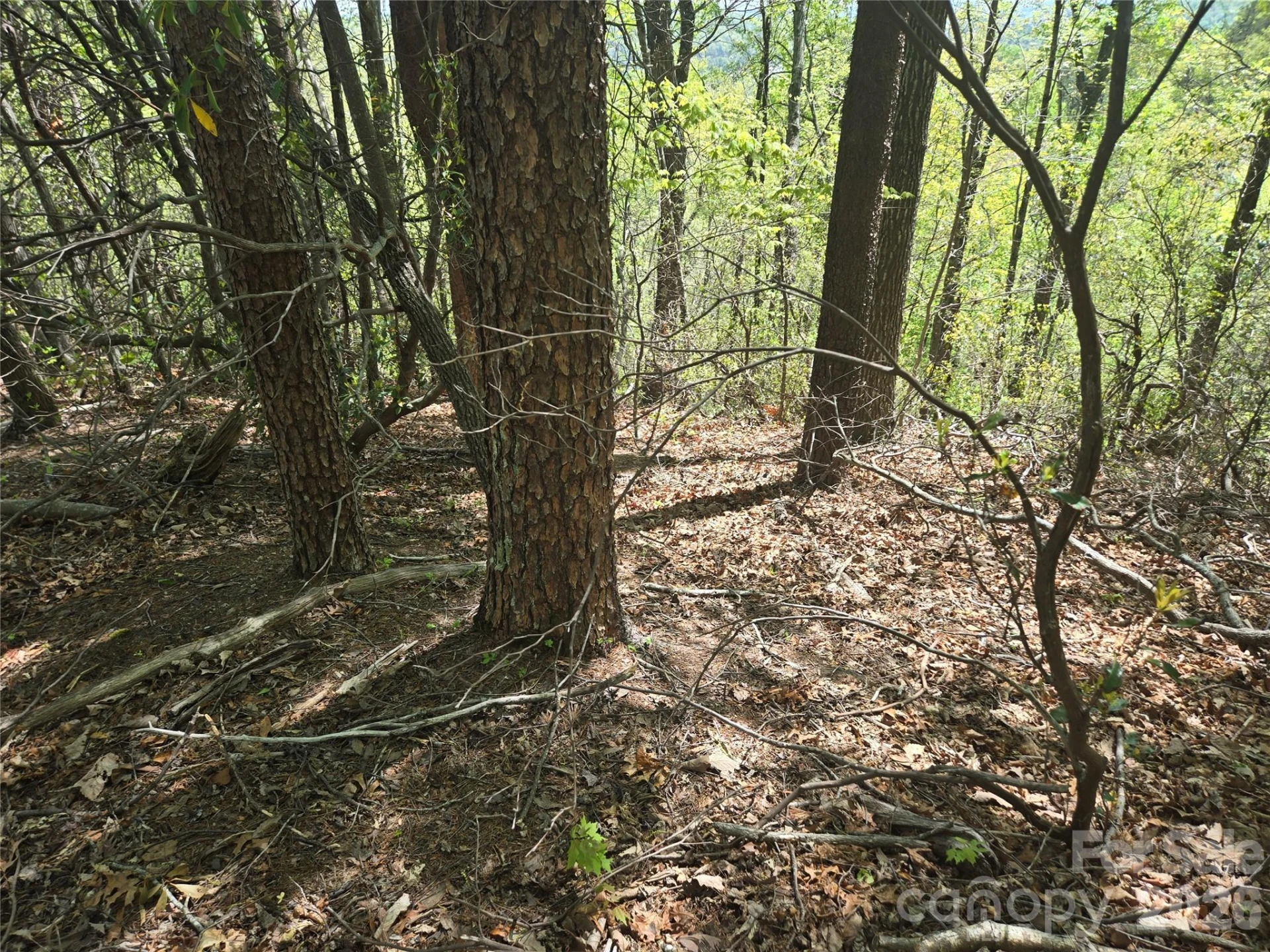 Lot 114 Summit Court - Photo 13