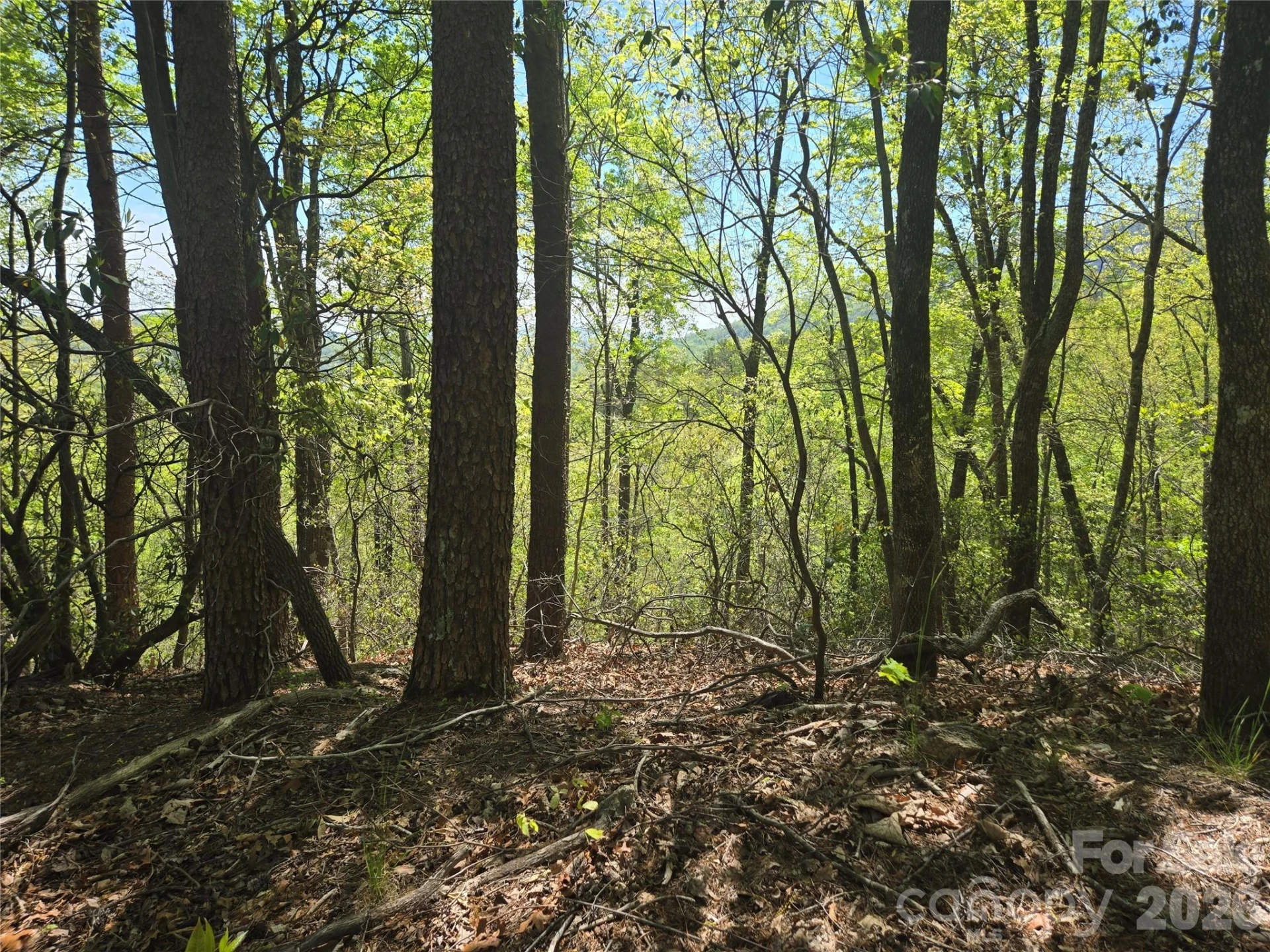 Lot 114 Summit Court - Photo 17