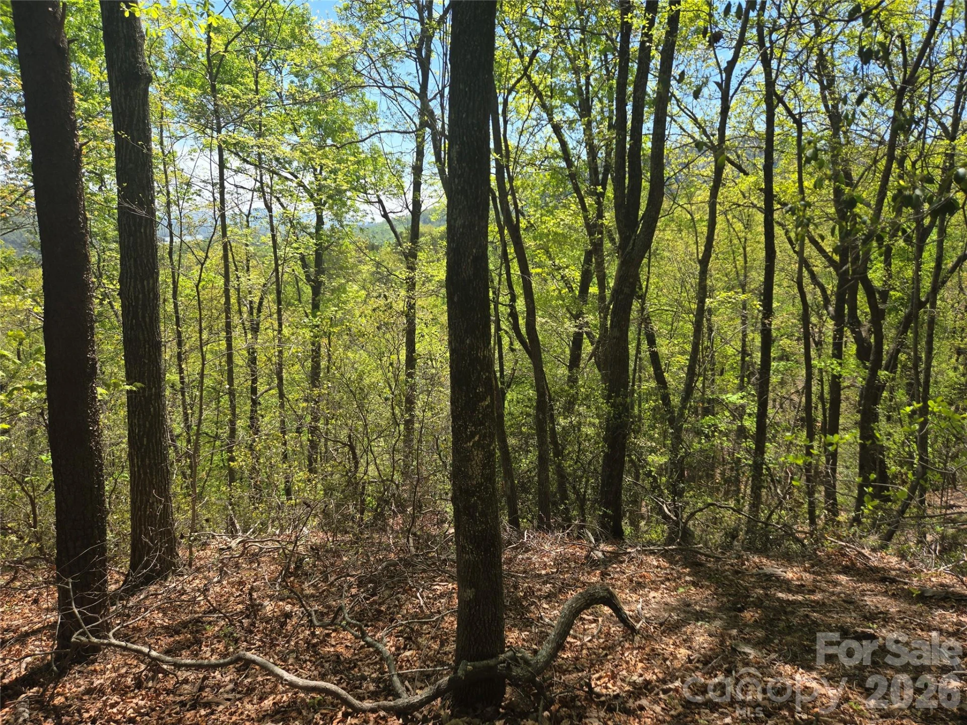 Lot 114 Summit Court - Photo 18