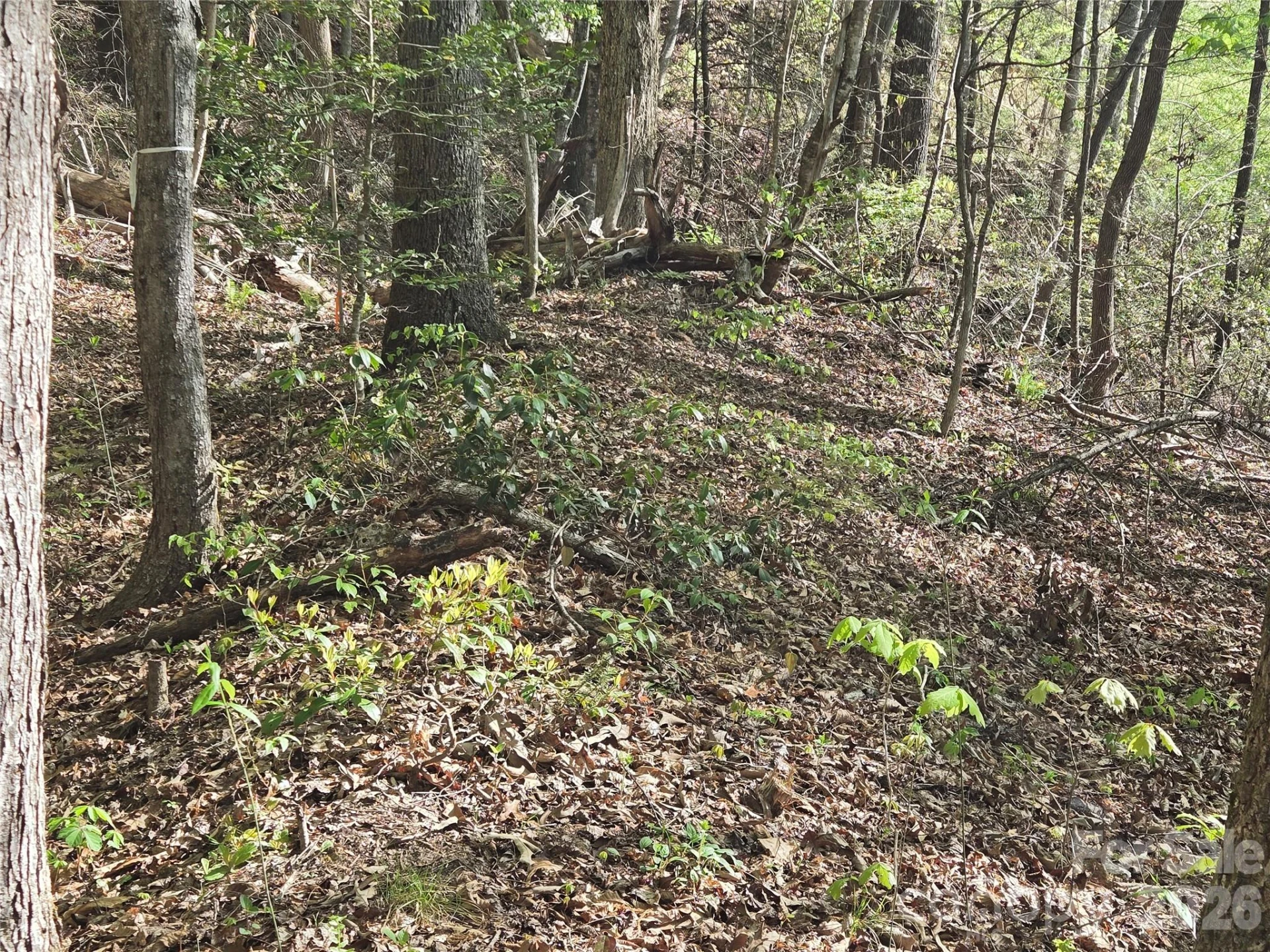 Lot 172 West Lake Drive N - Photo 4