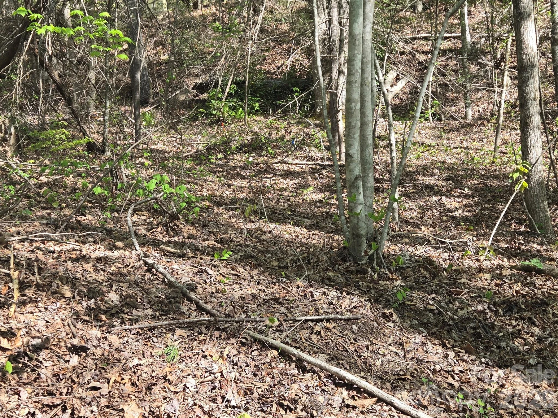Lot 172 West Lake Drive N - Photo 5