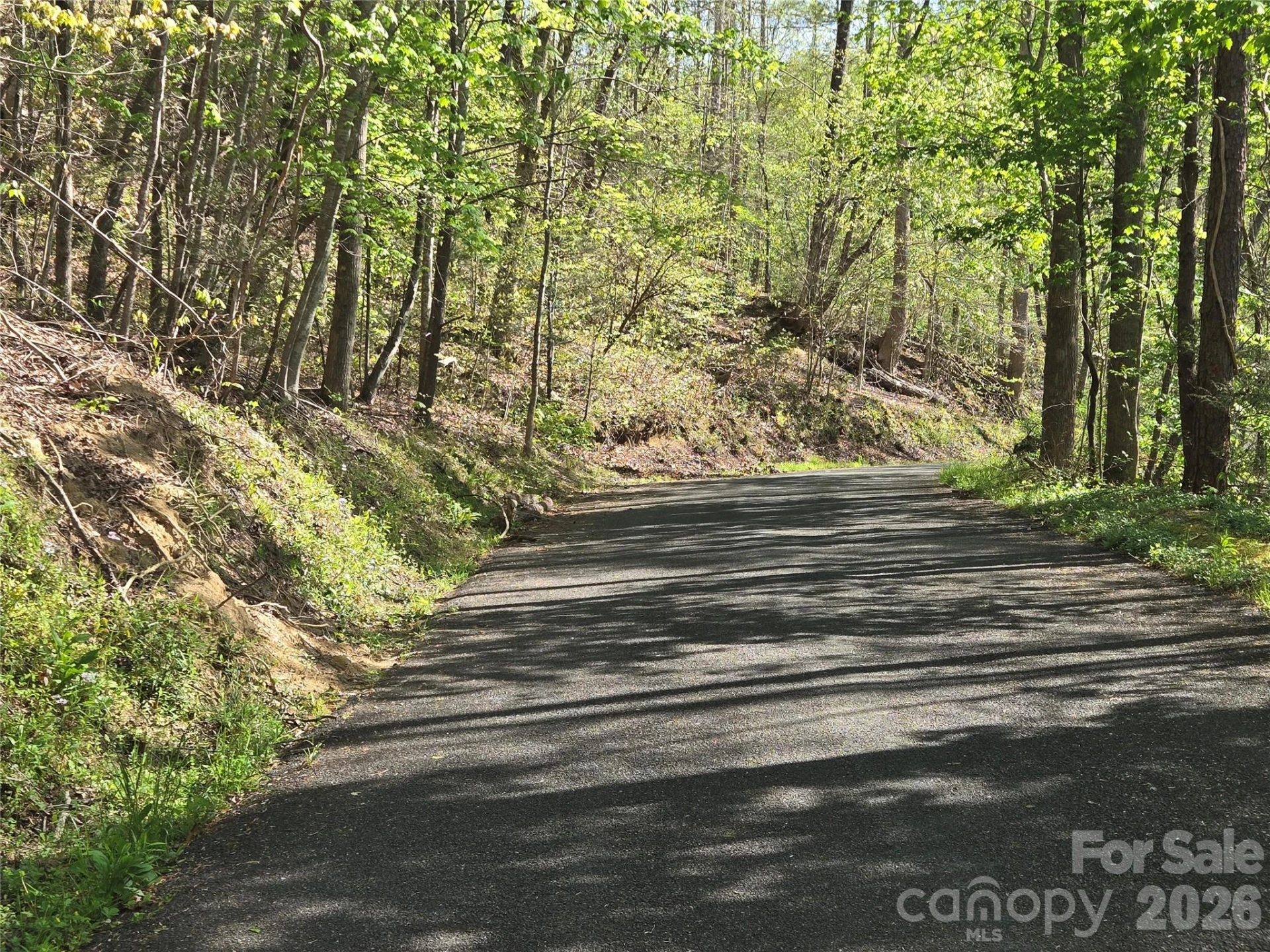 Lot 172 West Lake Drive N - Photo 7