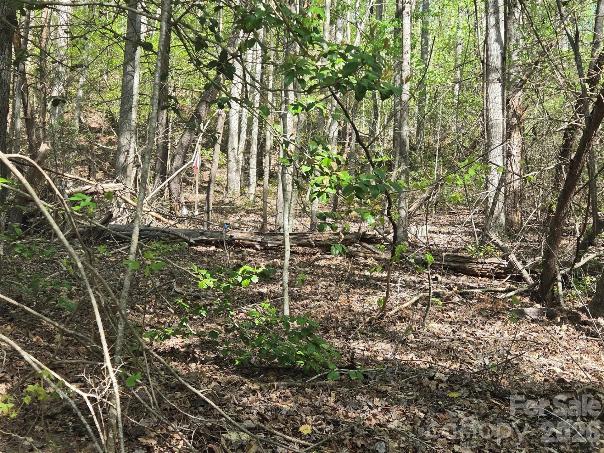 Lot 172 West Lake Drive N - Photo 8