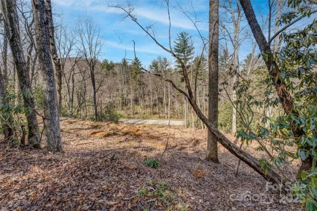 99999 Christa Lane, Arden, NC, 28742