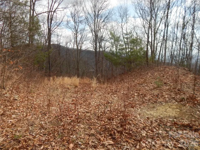 5 Sigogglin Trail