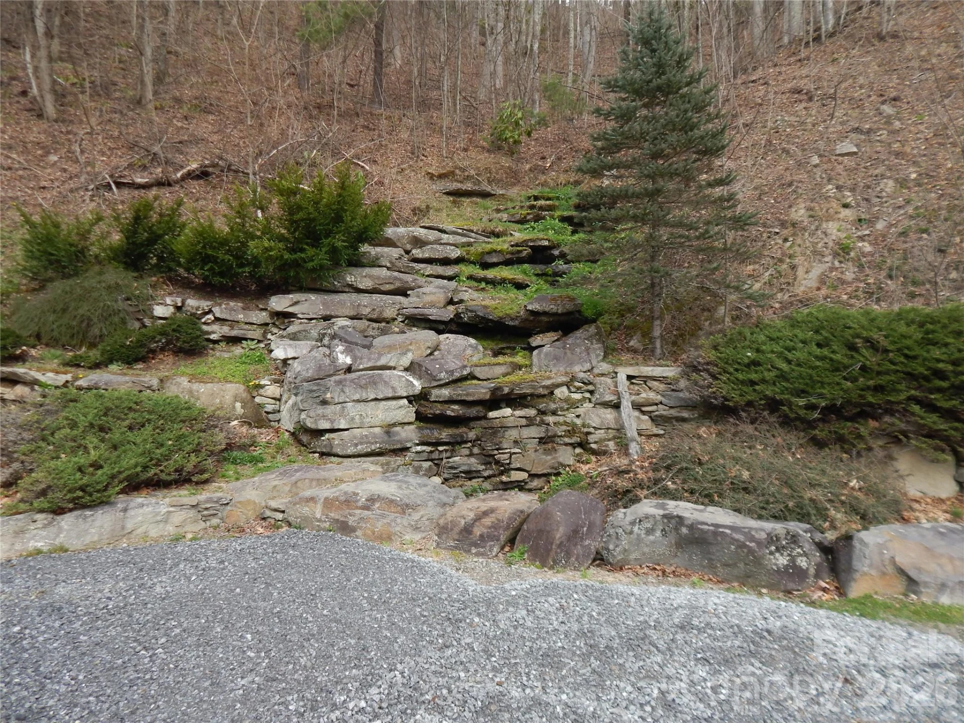 5 Sigogglin Trail - Photo 6