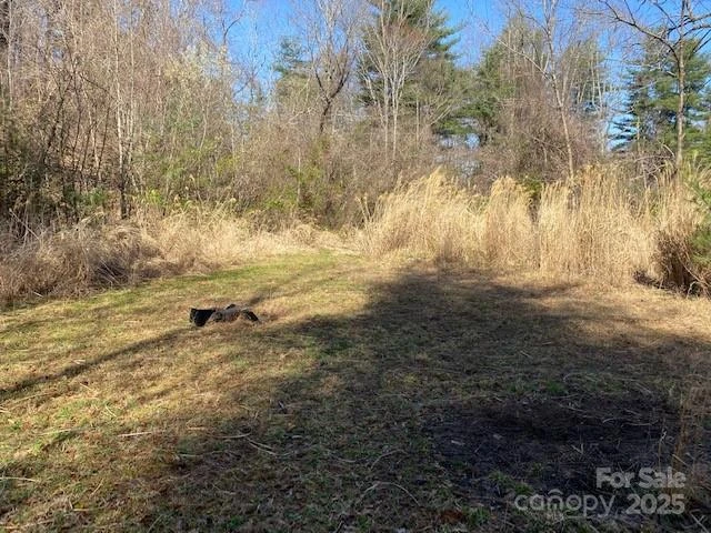 105 Mills Gap Road - Photo 7